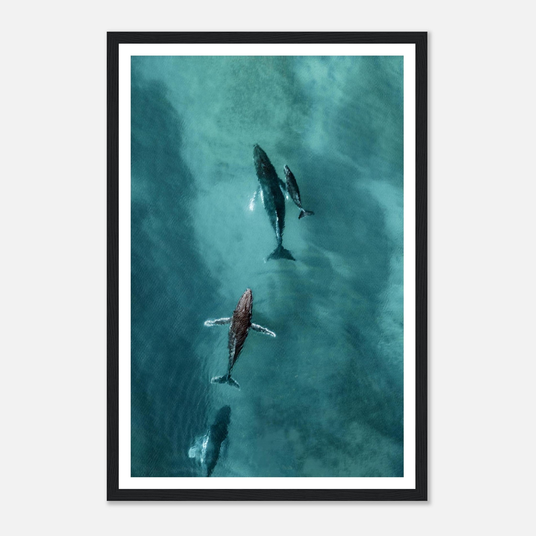 d4d7c662-12e0-4a8d-8d1f-31edeae6bc5e