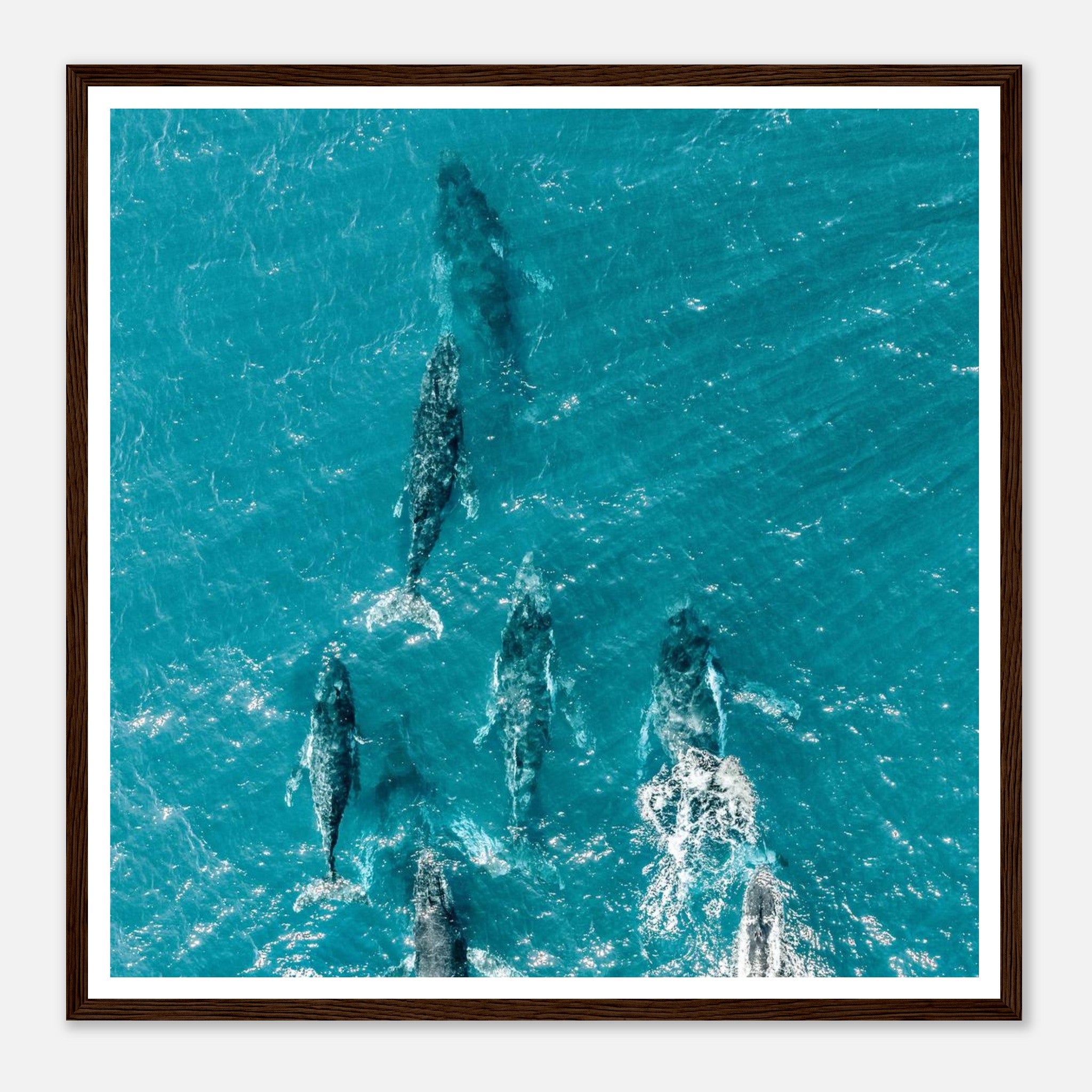 d59a8fed-9884-4b43-8afa-91a647157e09