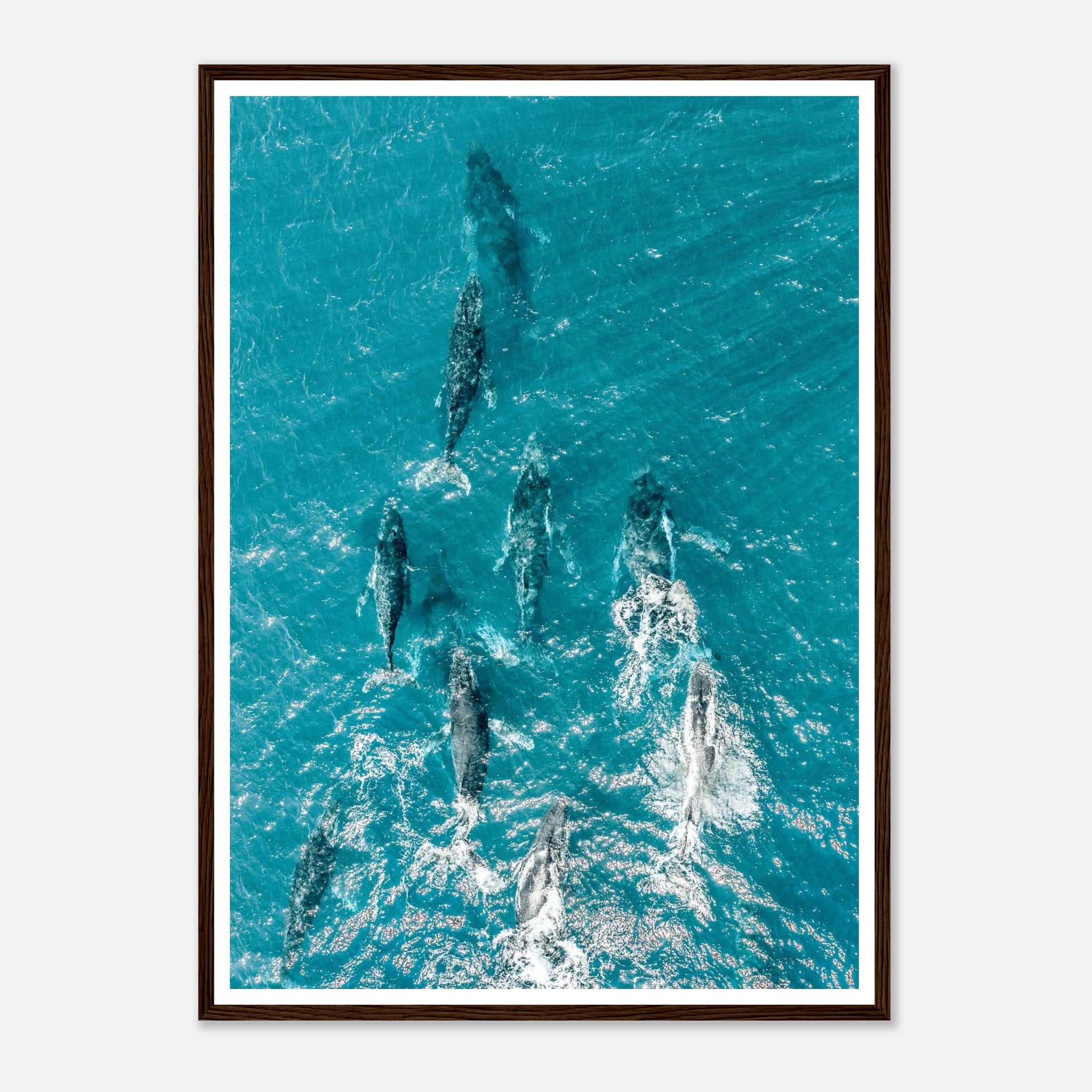 d6d95c4d-3cb9-469d-ab62-d0f2d74ed806