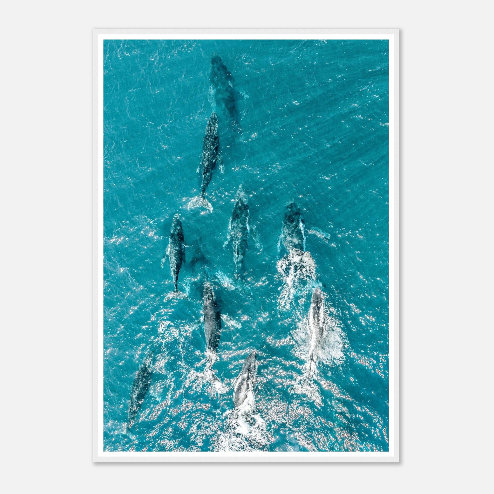 dce23710-d2f2-425f-8367-962aeee471ab