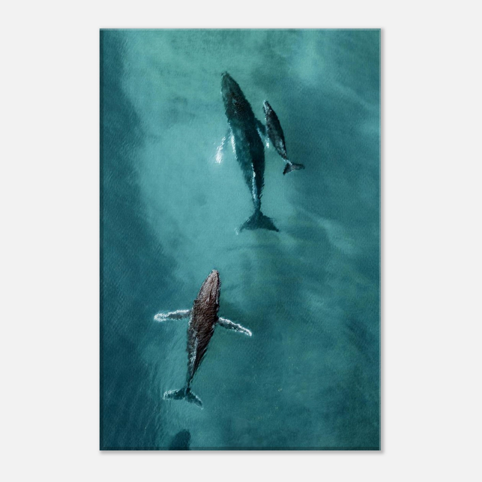 dff963dd-68de-4c78-a2c7-1360bc3f71dc