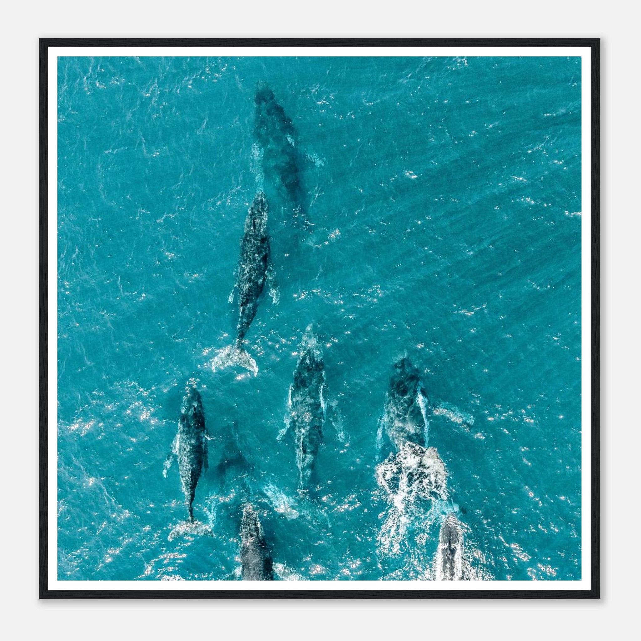 e145d41d-8476-4bb5-a25c-27fb38ccc786