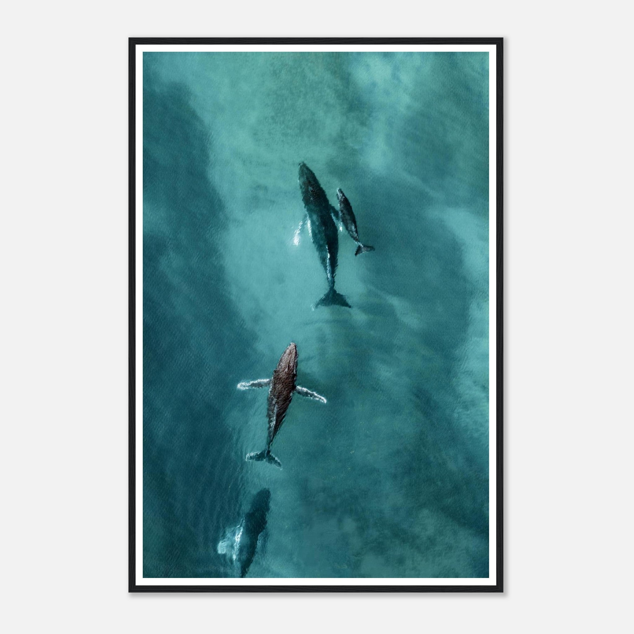 e154589b-22f2-483f-8191-3727fd66e826