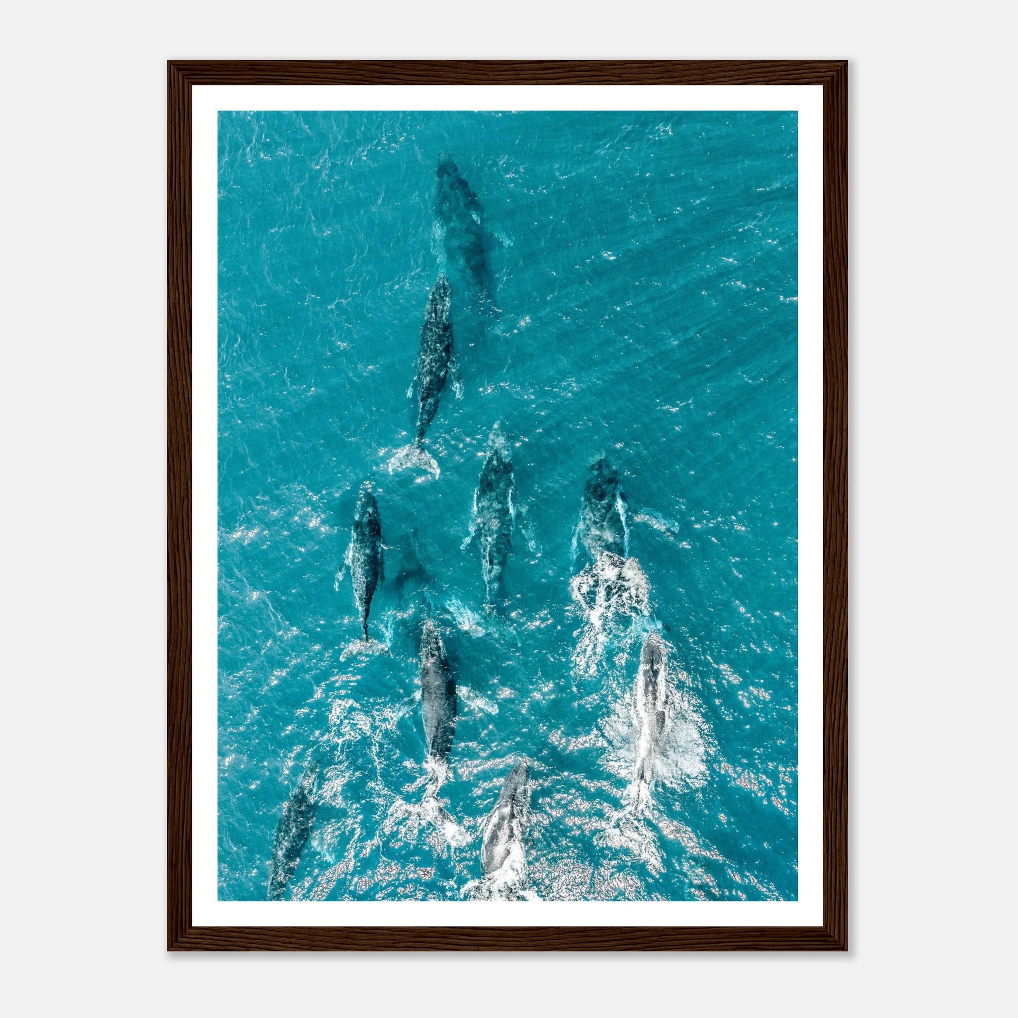 e5da5add-a01e-4ffd-9806-56123ed1a259