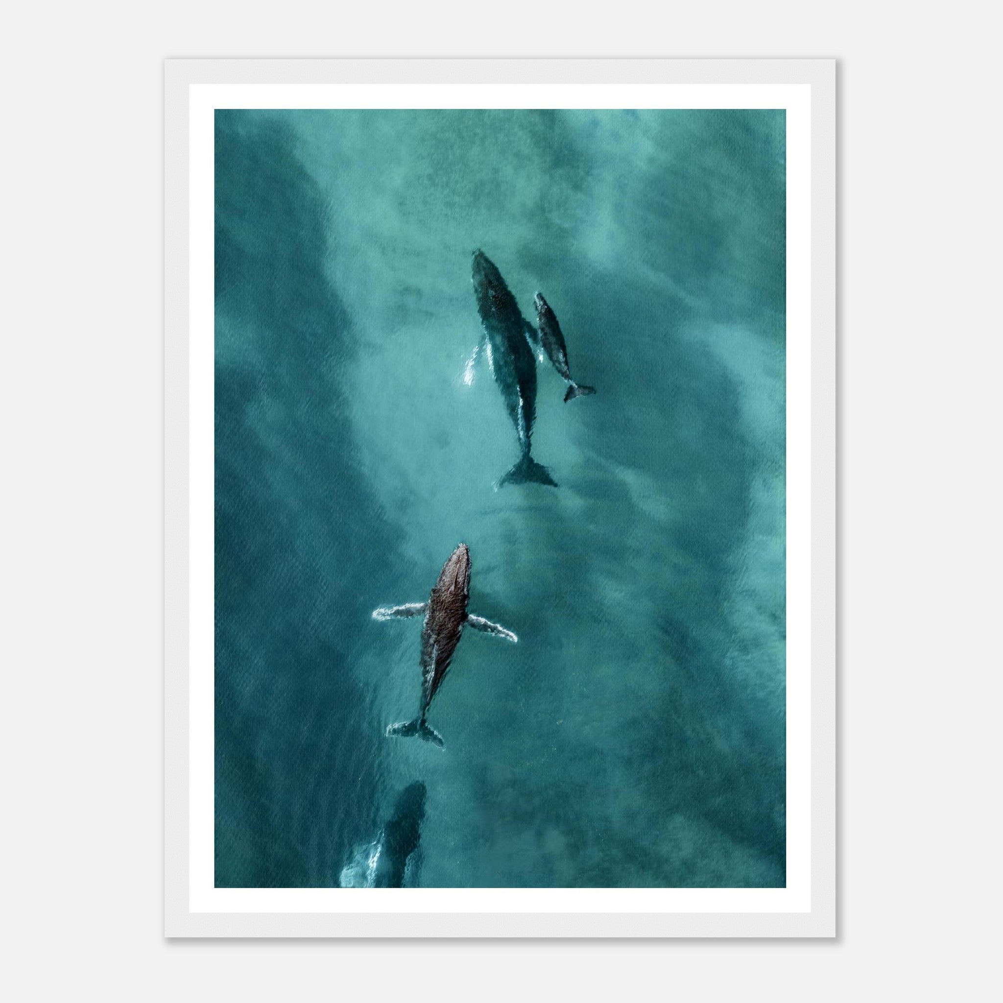 e918cfbc-d8a5-4aaf-81e6-57fde23d1e12