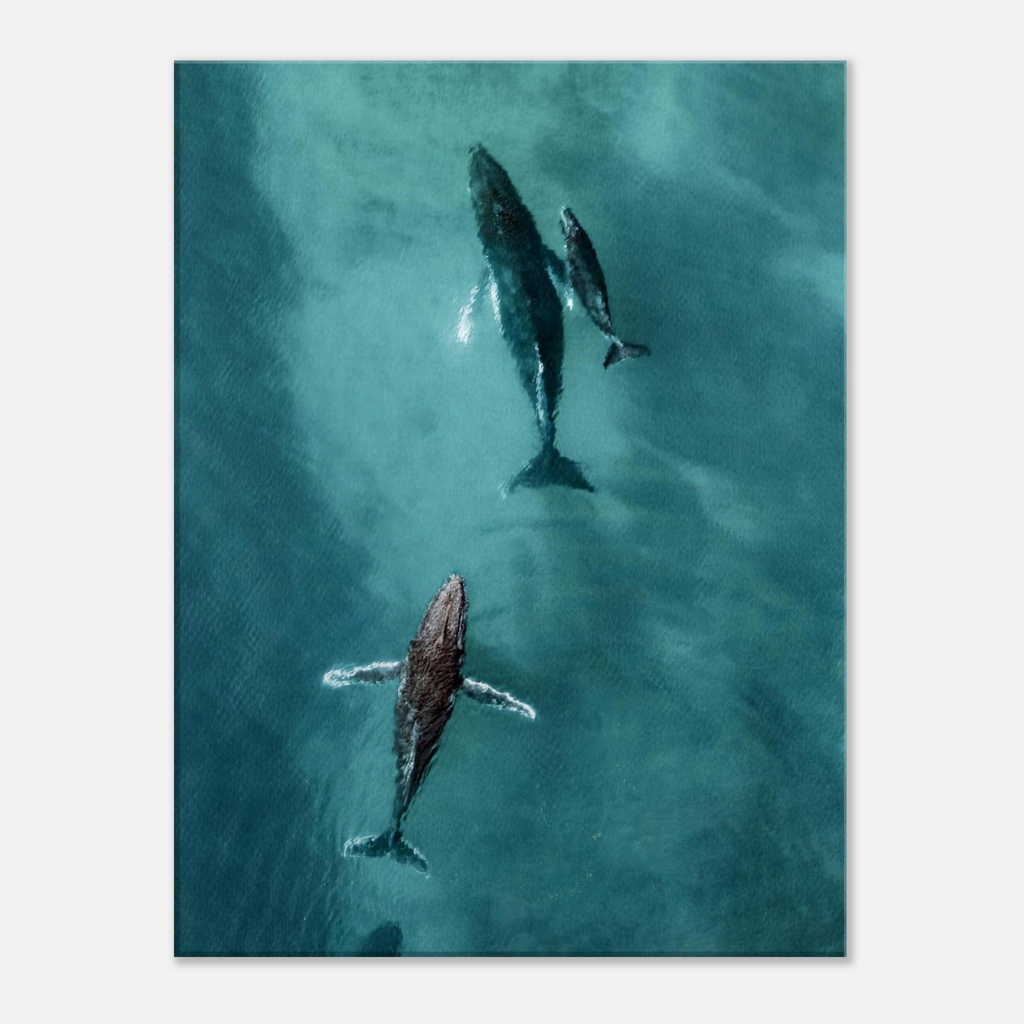 ee4567e1-0cdd-49fa-9cbf-bb51cb39193c