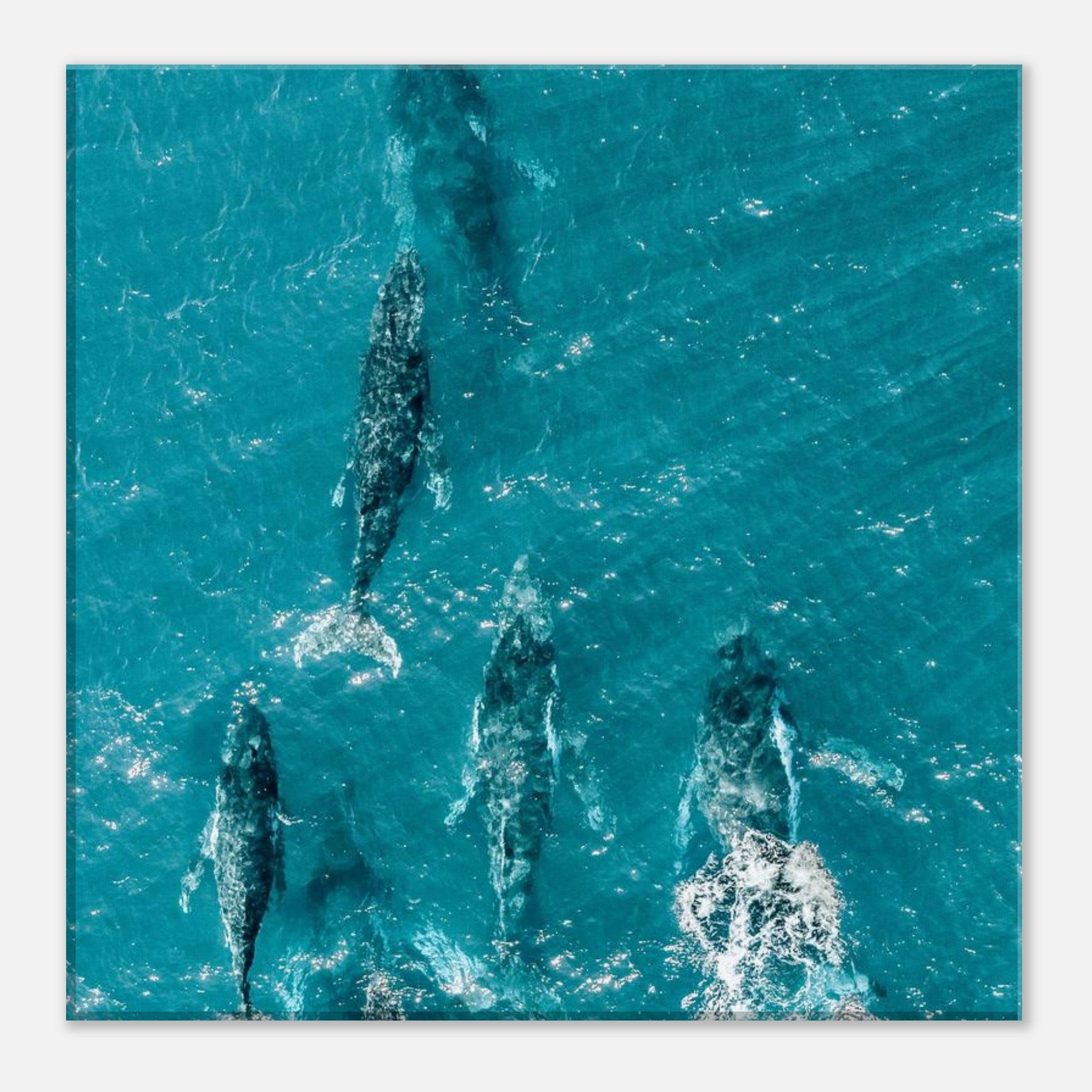 ef5d86af-f1da-4c73-84bf-5dca152bc5c7