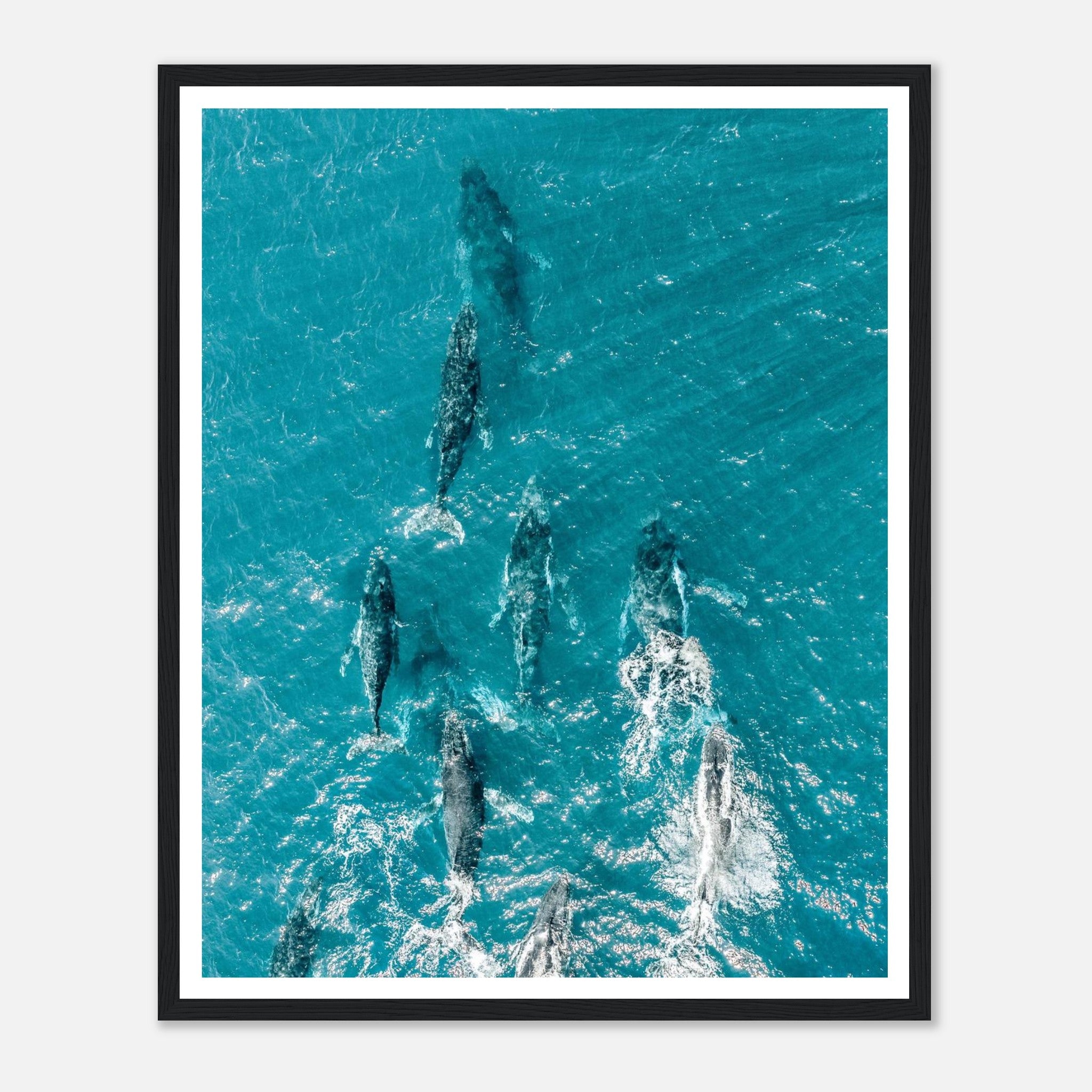 f22b35f8-9578-4acd-a92b-be6ce805bd12