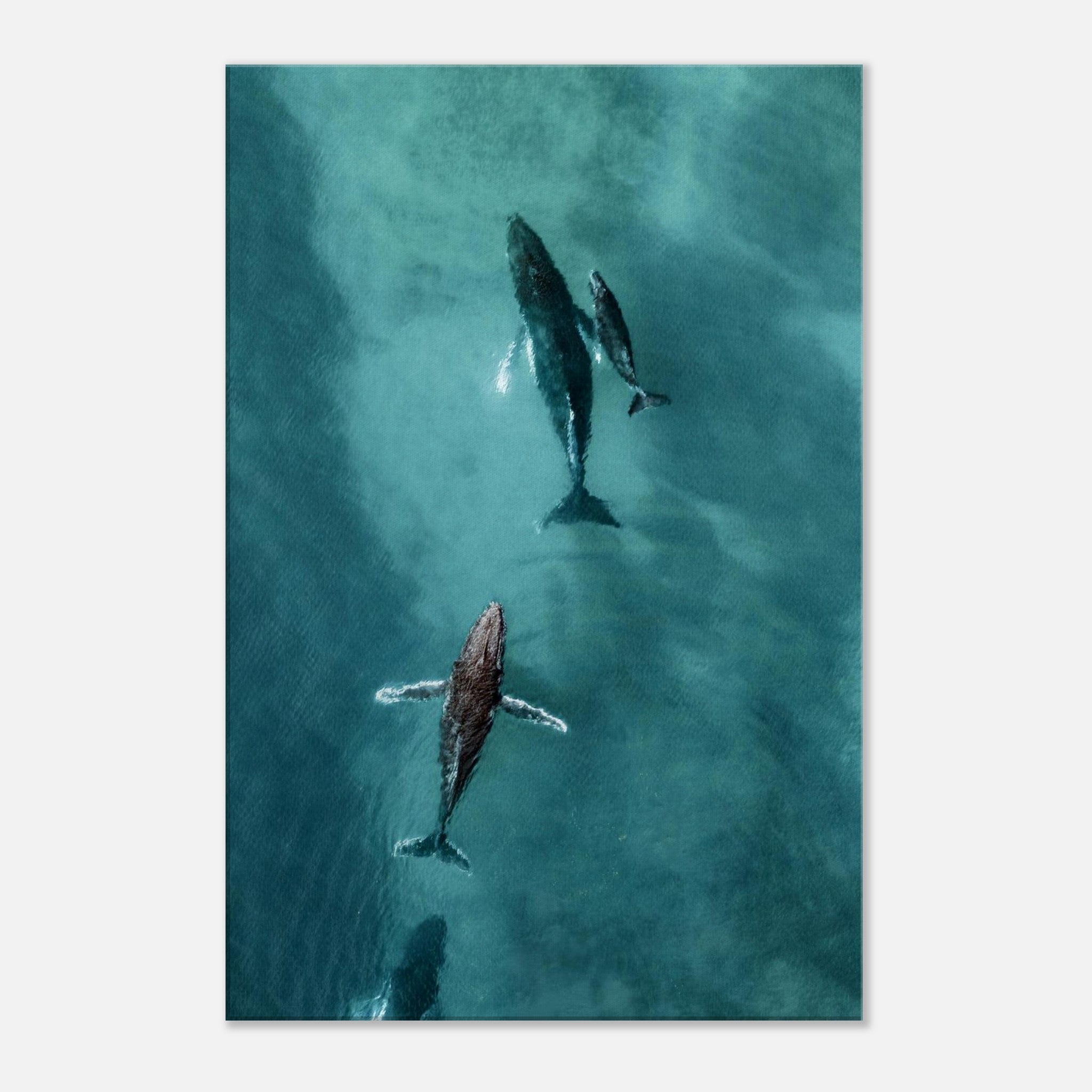 f4cc1770-7c63-41e0-8a5a-c2bfa3e81bff