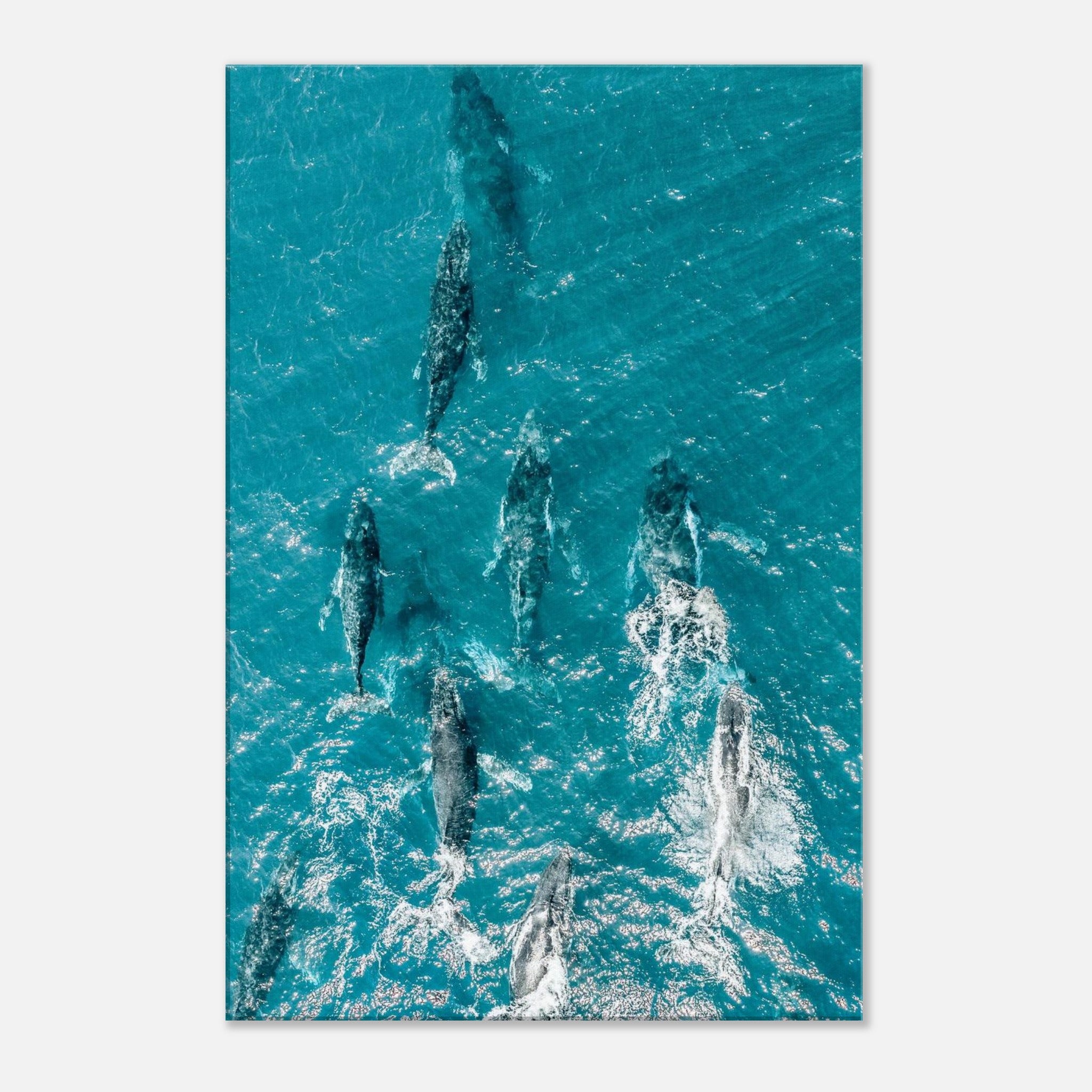 f66ad1a5-5646-4f26-bbbc-7a68a87b6d35