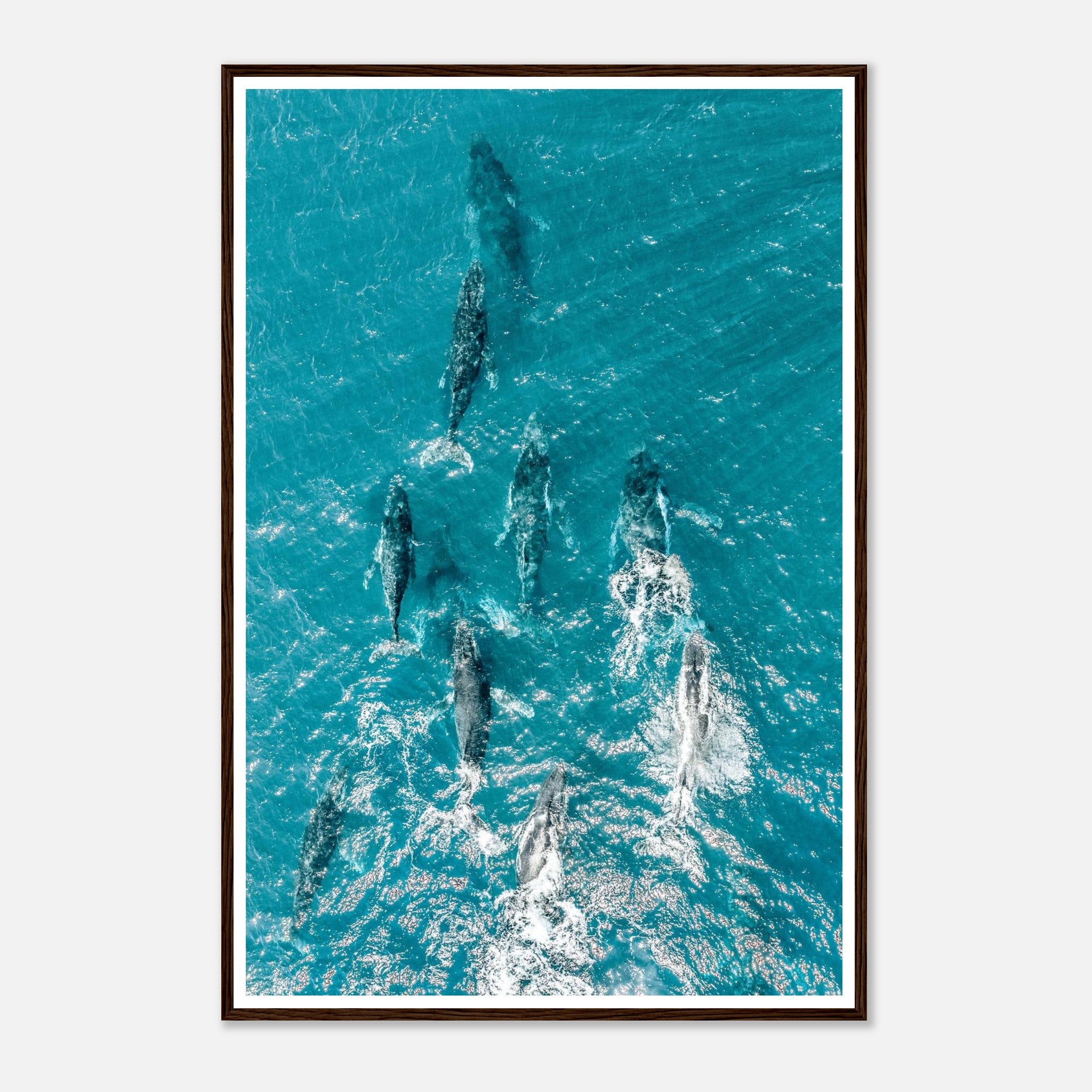 ff128a68-005e-45f1-8849-bf348f13cfda