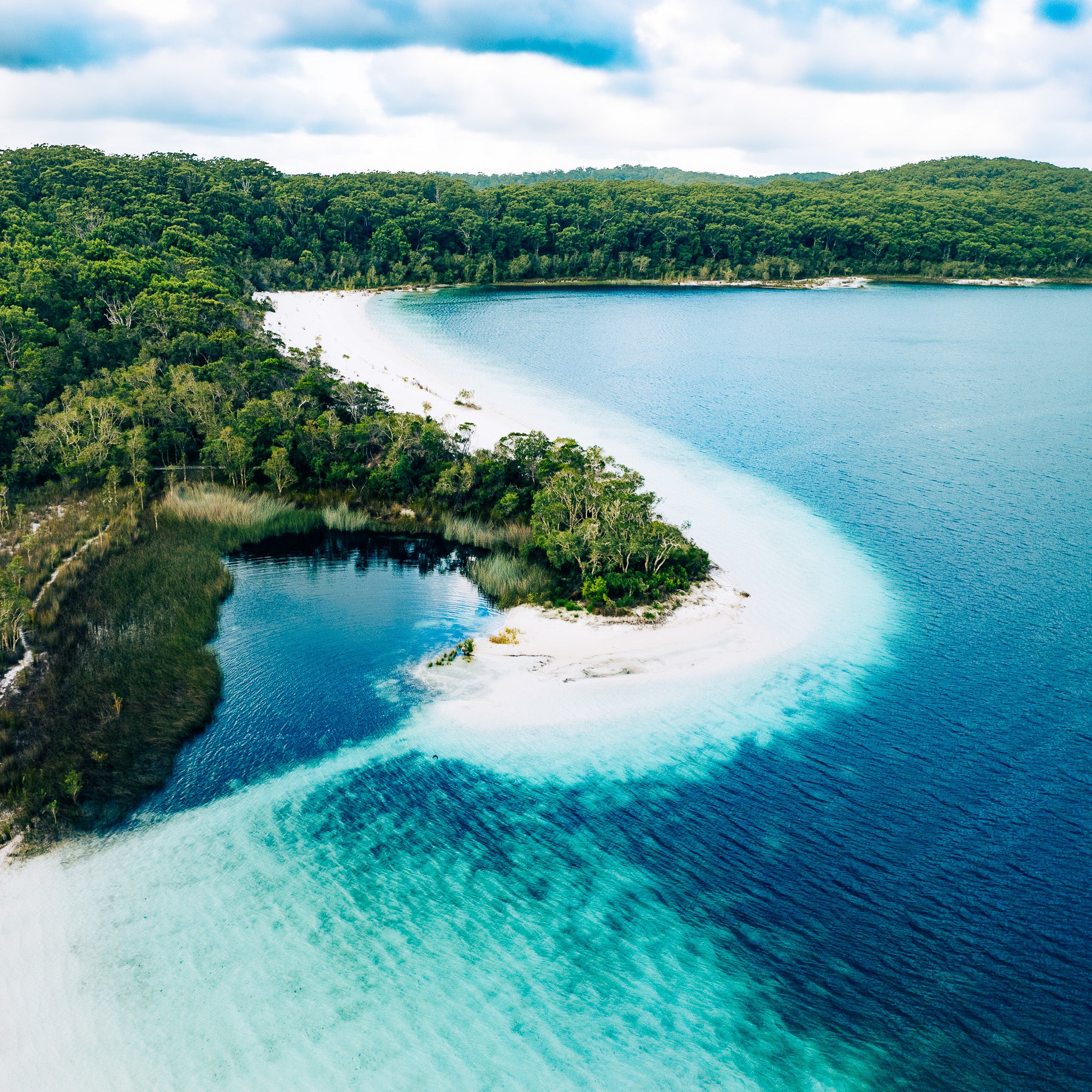 lakemckenzie-photograph