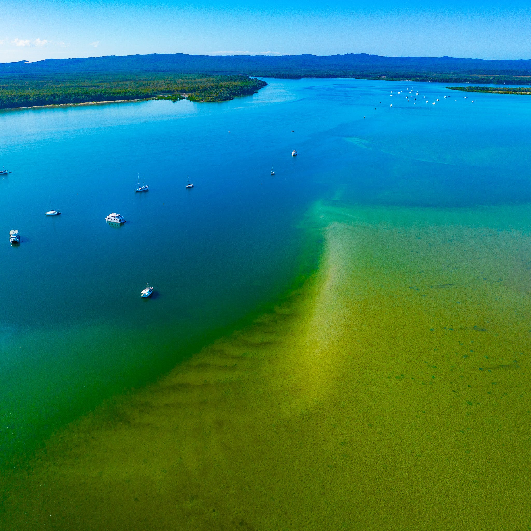 tincanbay photograph