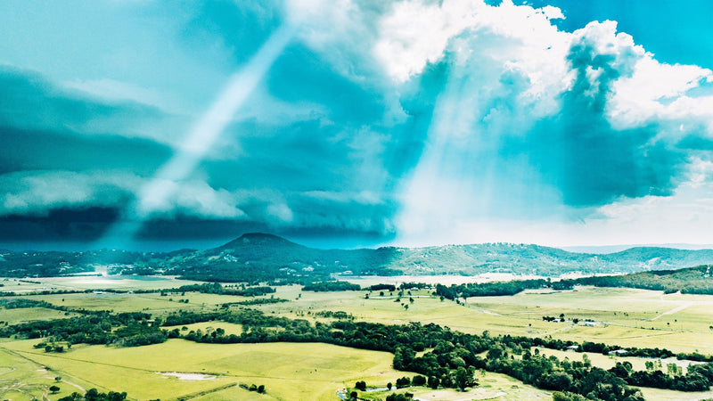 The Power of Saying No