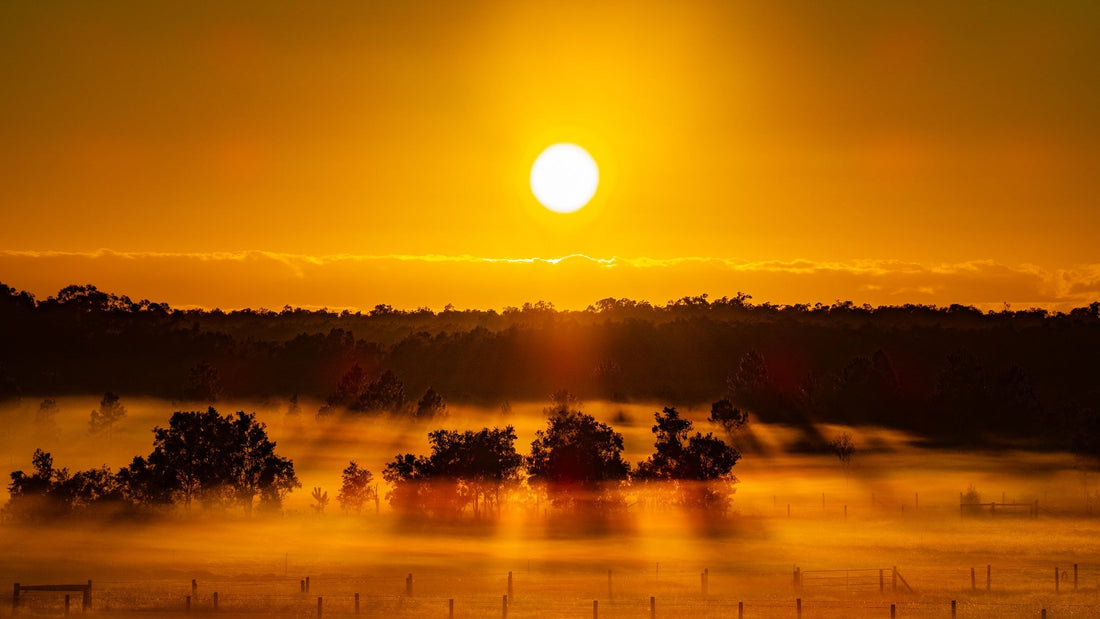 Image of sunrise