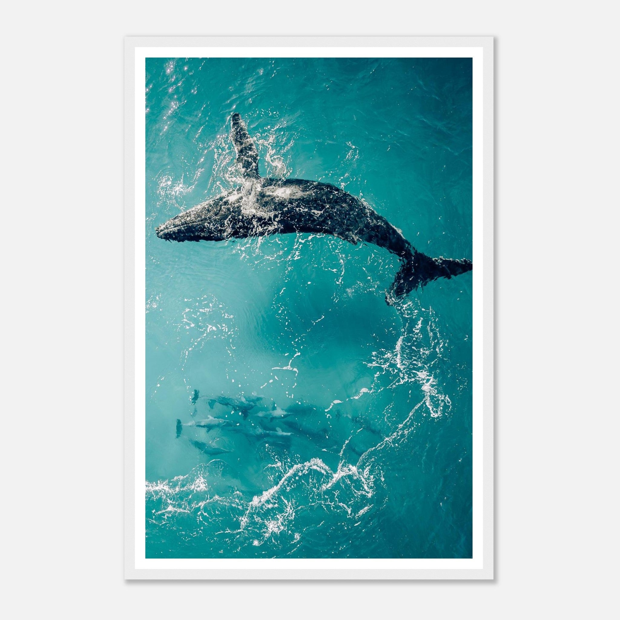 004d4c64-8194-4ba5-904c-dbc3bbbbbbdc