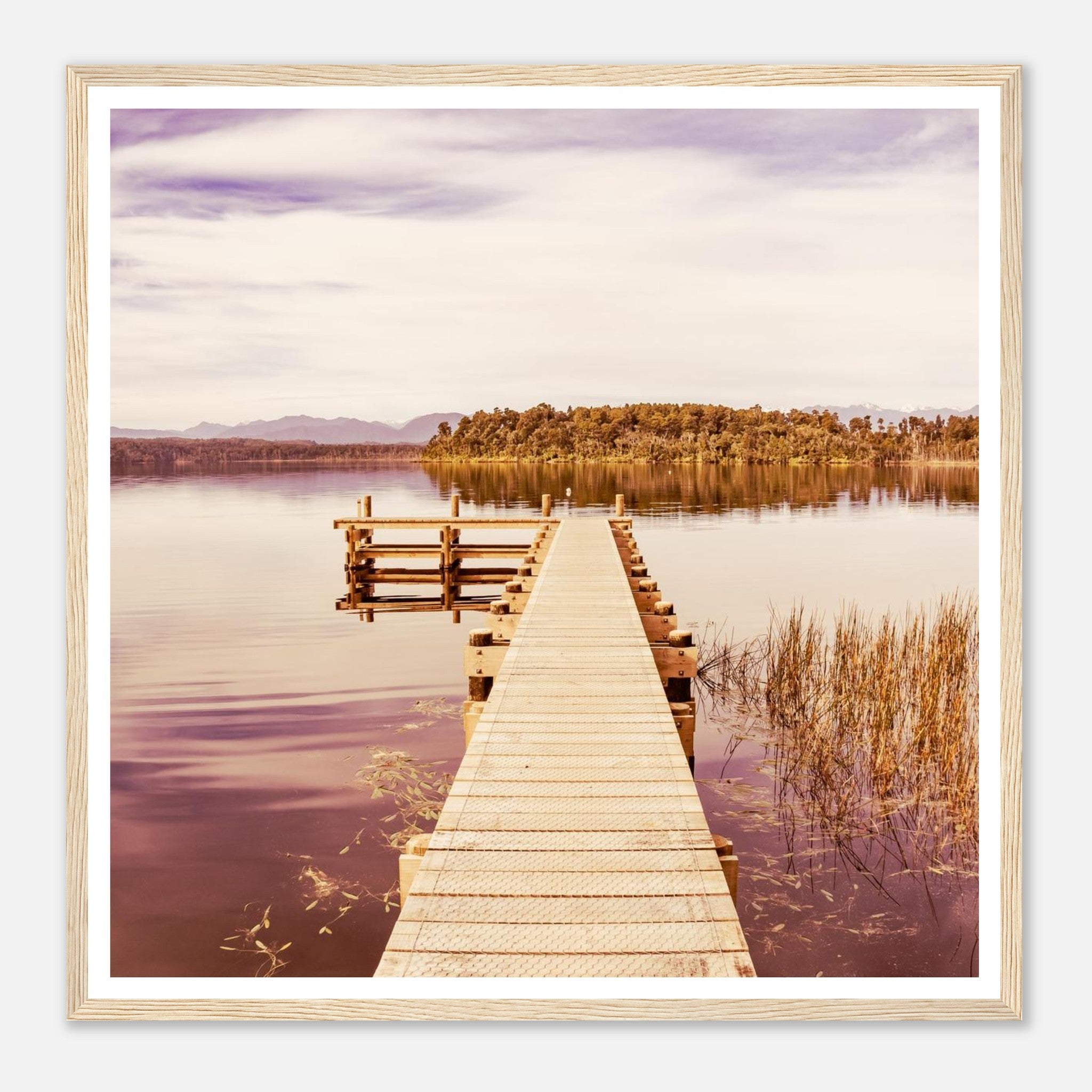 029ad97f-1932-4fc6-816c-2ee03ec6788b