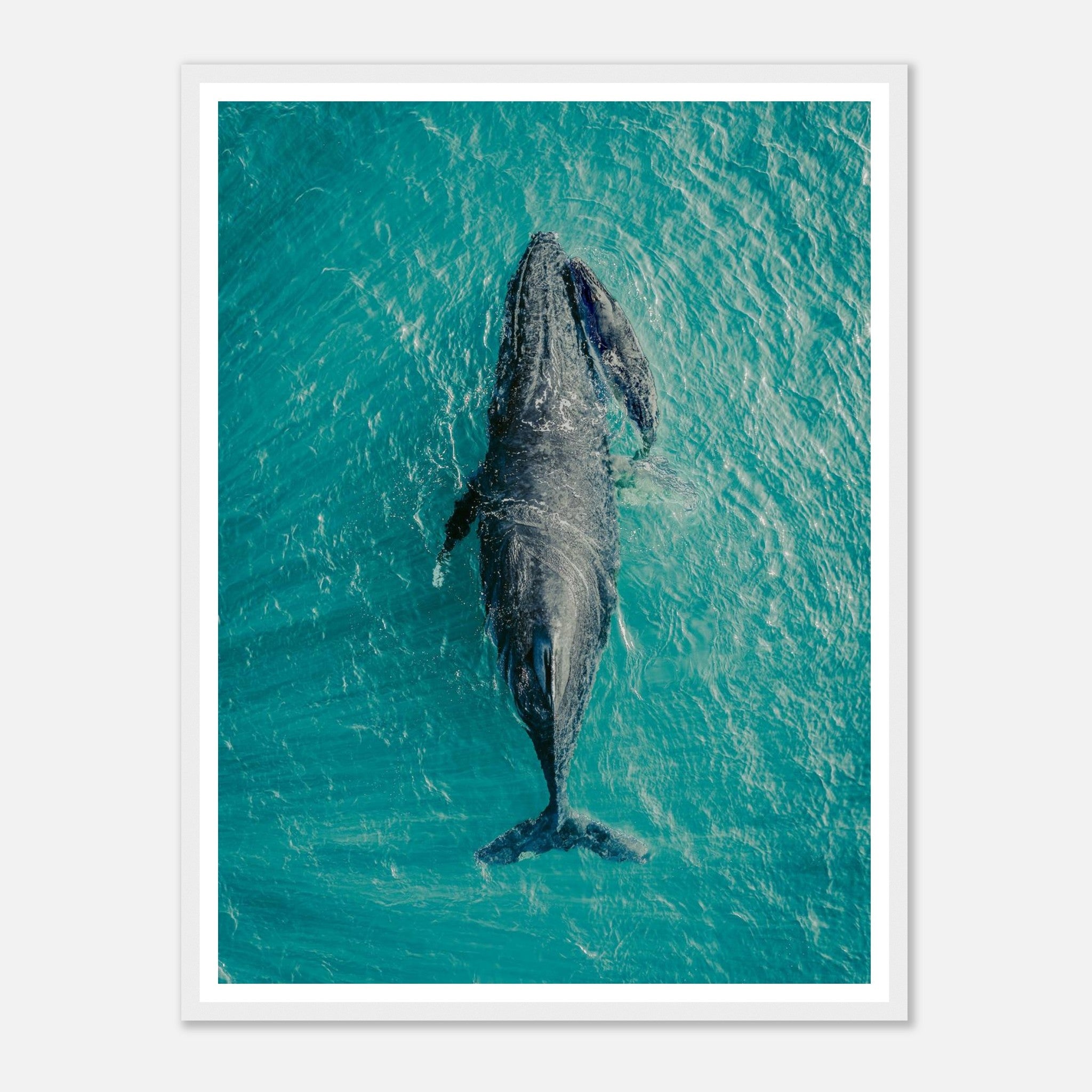 08b27bb3-dcfc-4967-b8e1-6a6b4cc263b8