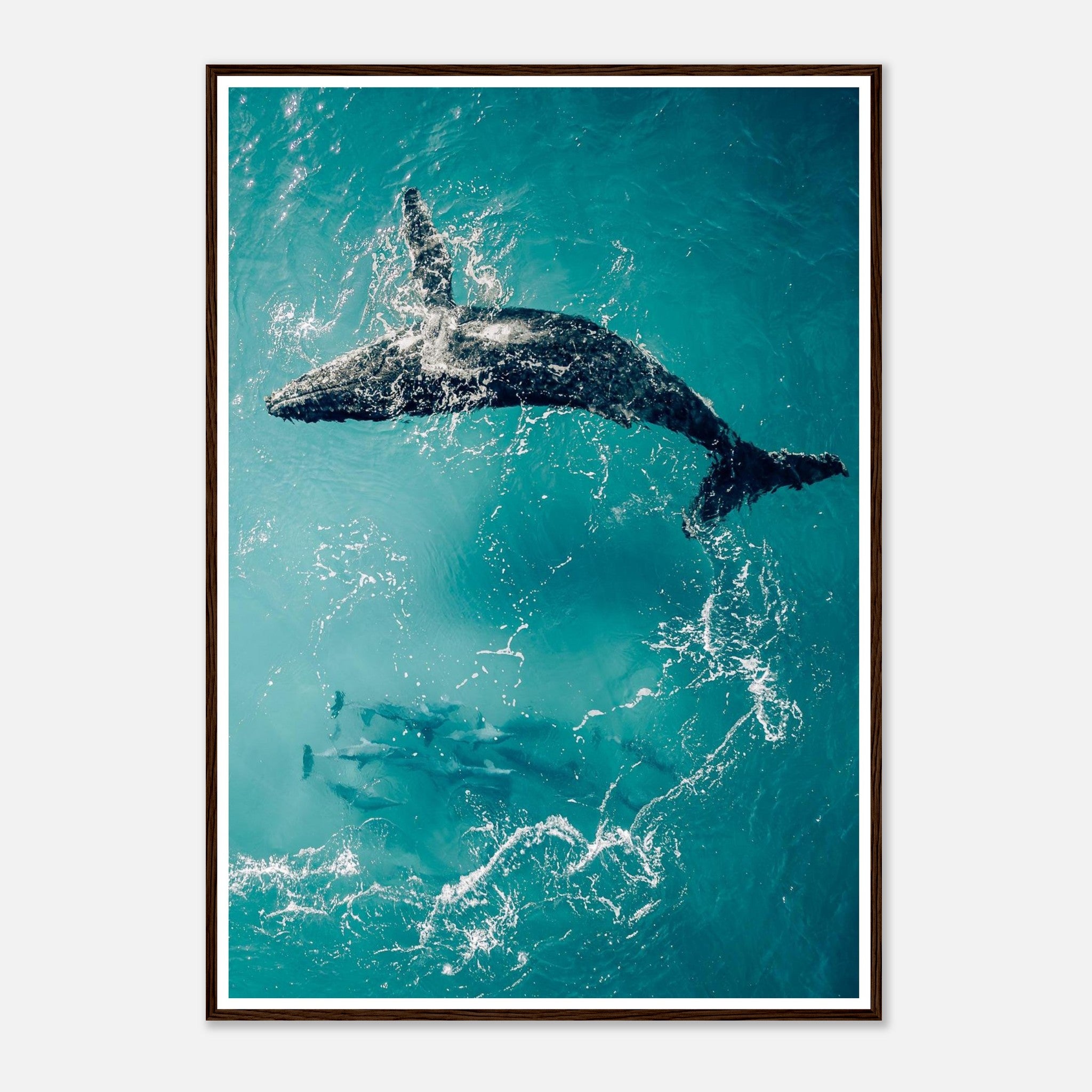 0ade91ca-c647-457b-9aa2-e197a866ce0a