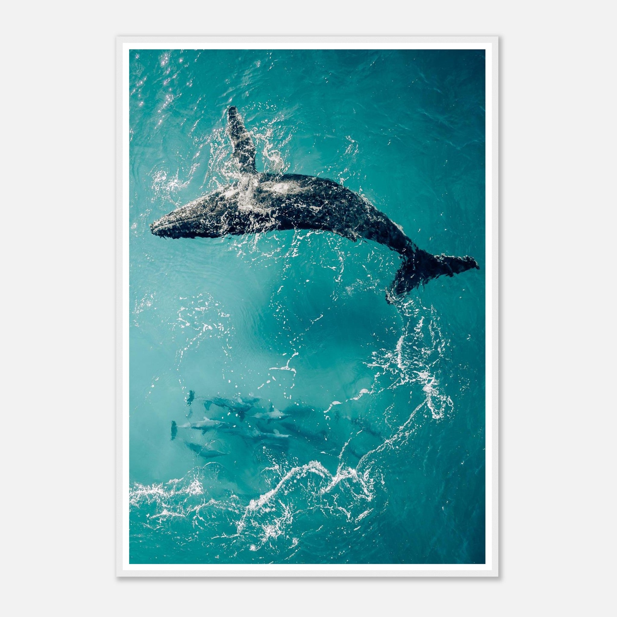 0ebdd8f7-ad61-4dc5-a459-4bfbe61bcc3c