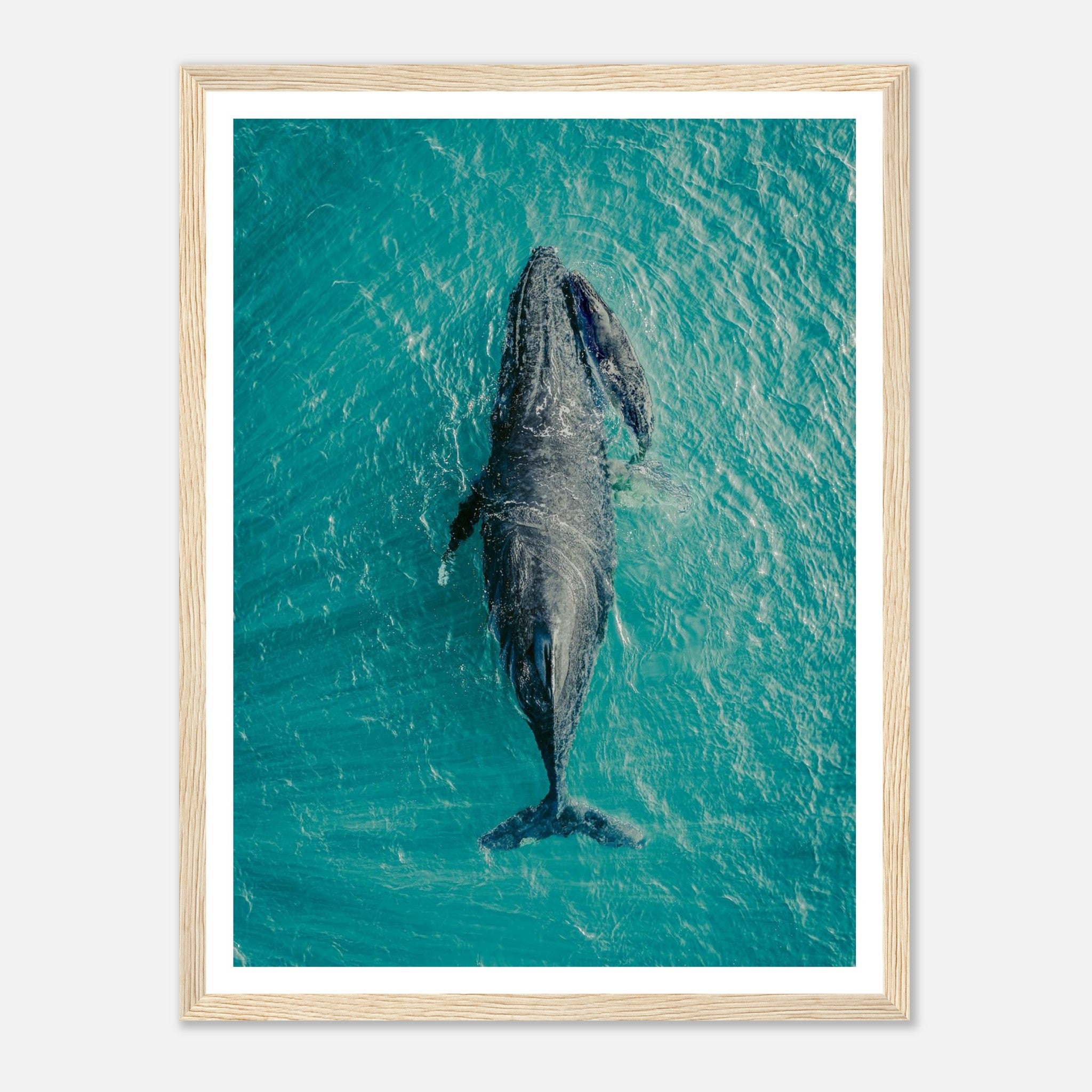 11fad566-8f66-480c-9a39-07b15ff663c5