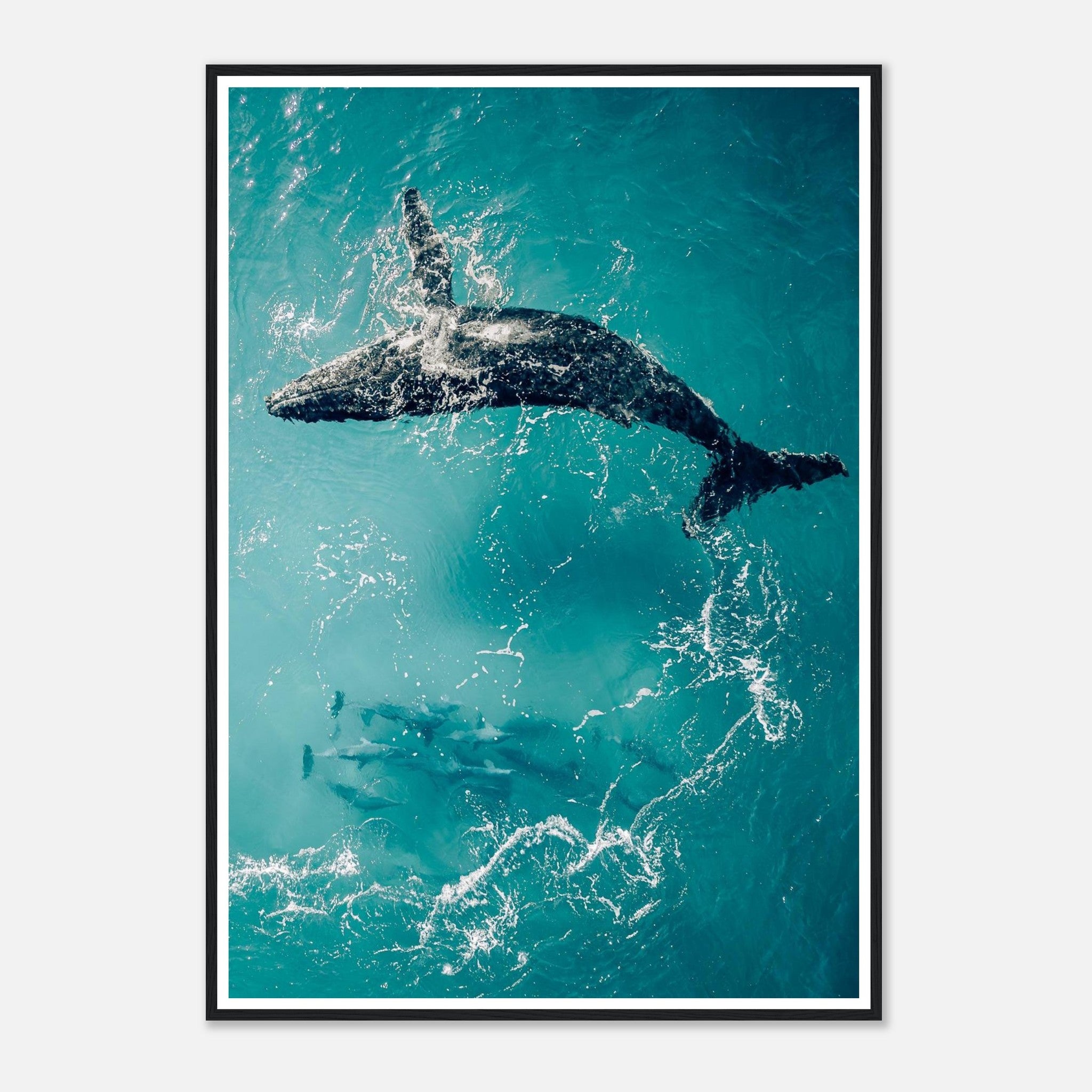 1b16be41-dd1e-4c34-a65e-07a0438806b8