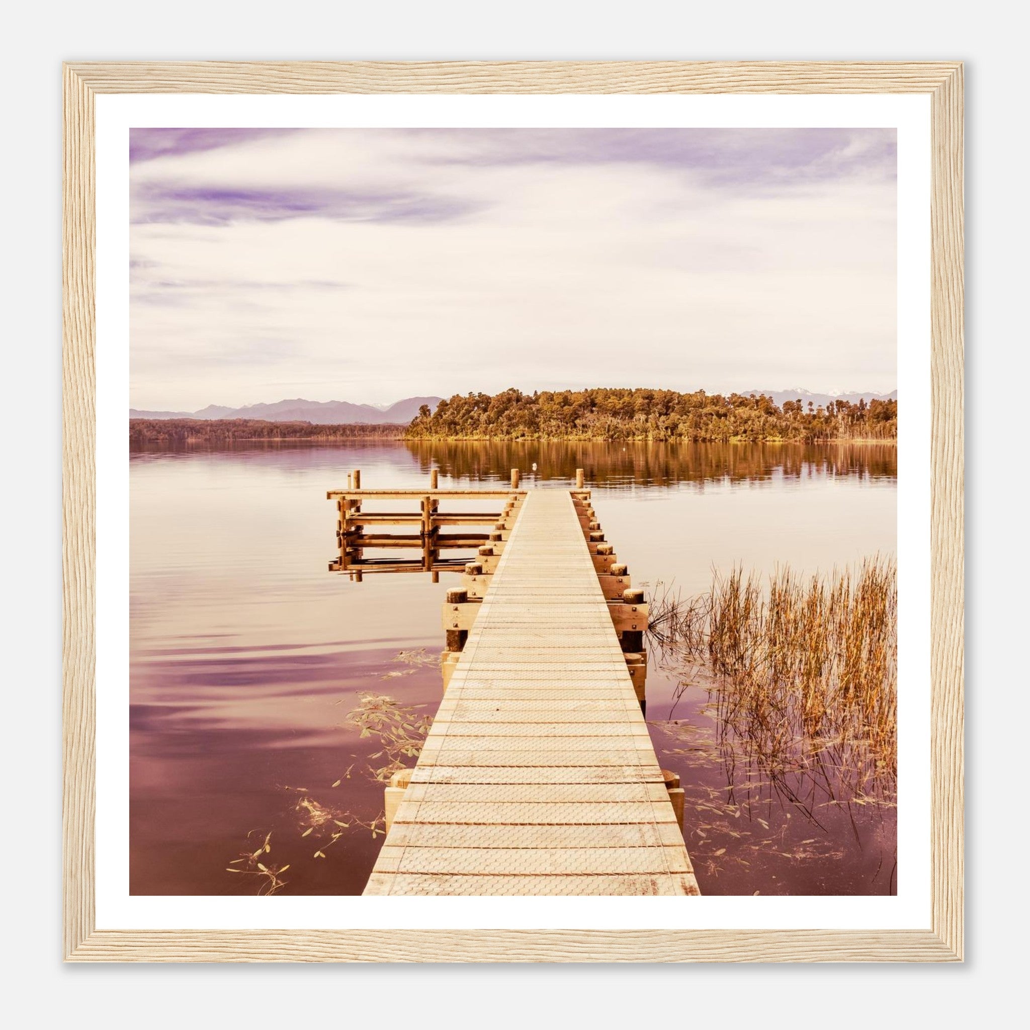 224ff8e0-b11e-434e-b019-3ff559fe5568