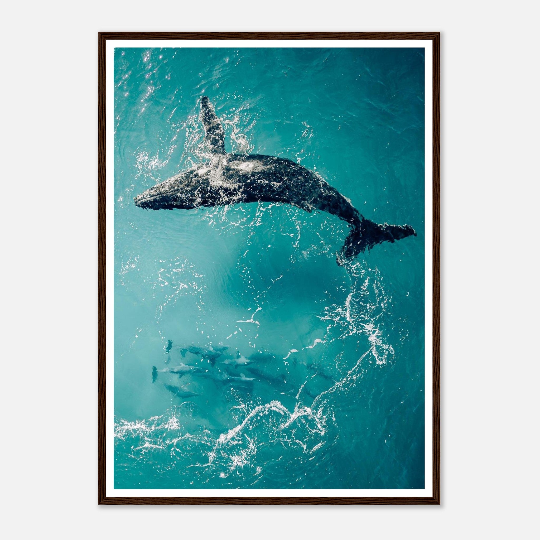 22aa629d-21c3-41ac-95c2-9e32d14c59da