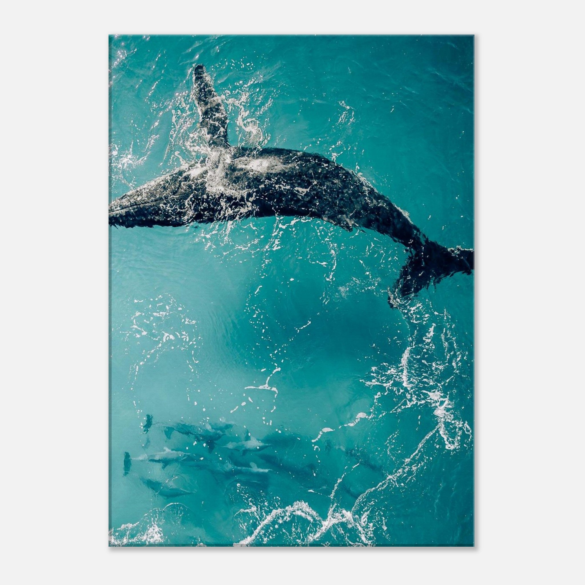 22ac93a6-376c-4849-b0fd-8f7248218bd1