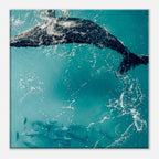 2b80c5bd-3b84-4741-bb4d-e90c24a757c6