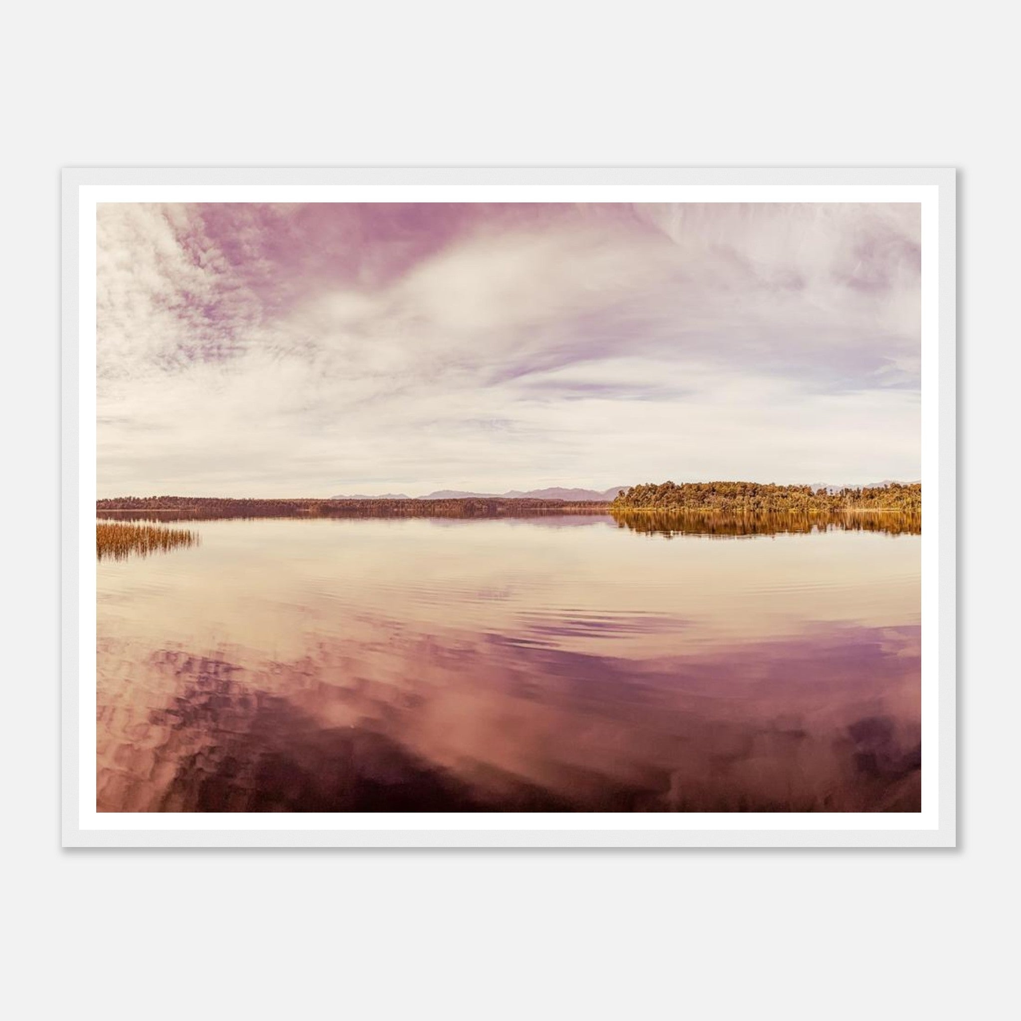 2c89794b-bdbc-4bd8-8d4a-430a63551457