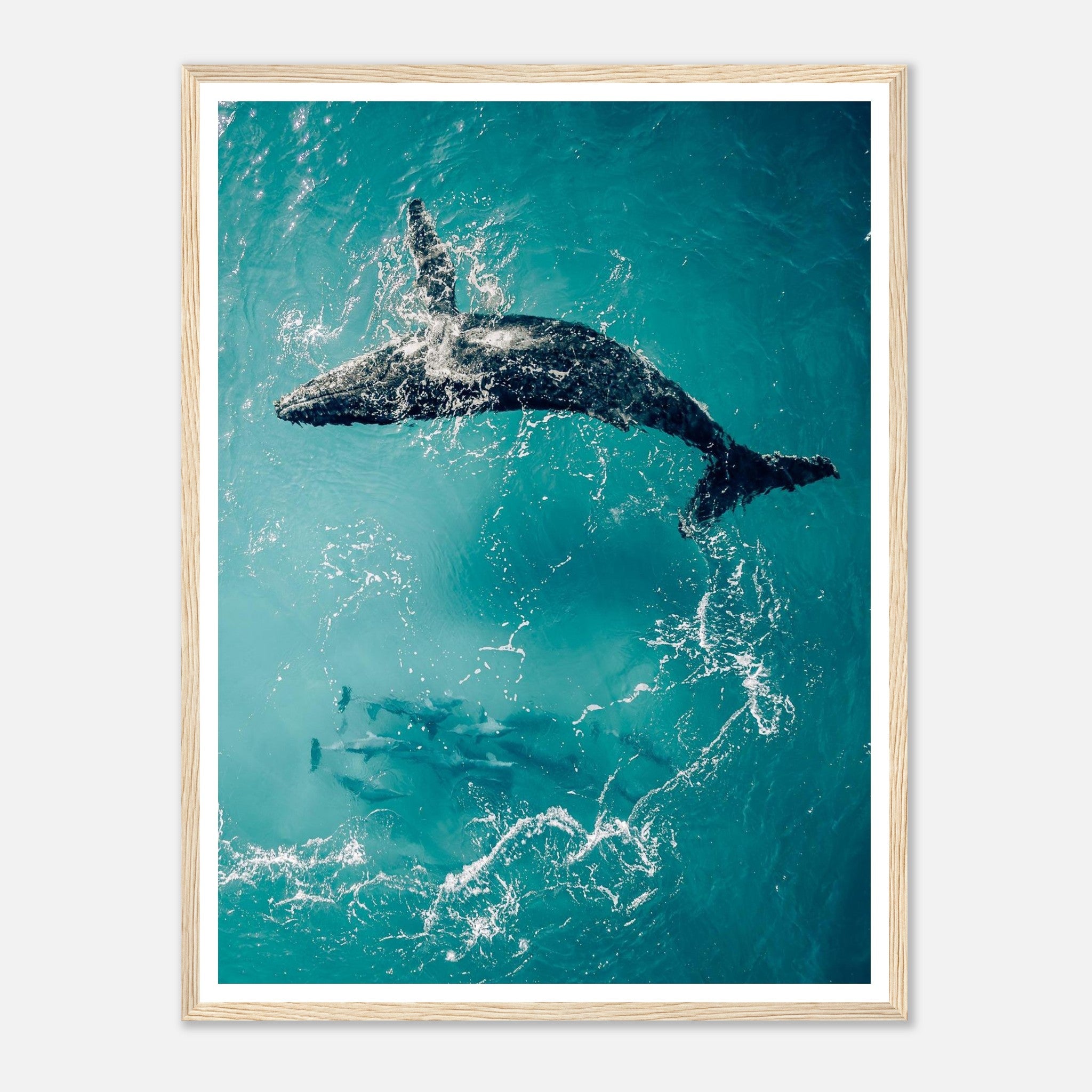 2fd77b3a-d2aa-4e9c-a4e6-bea8d89af0f5