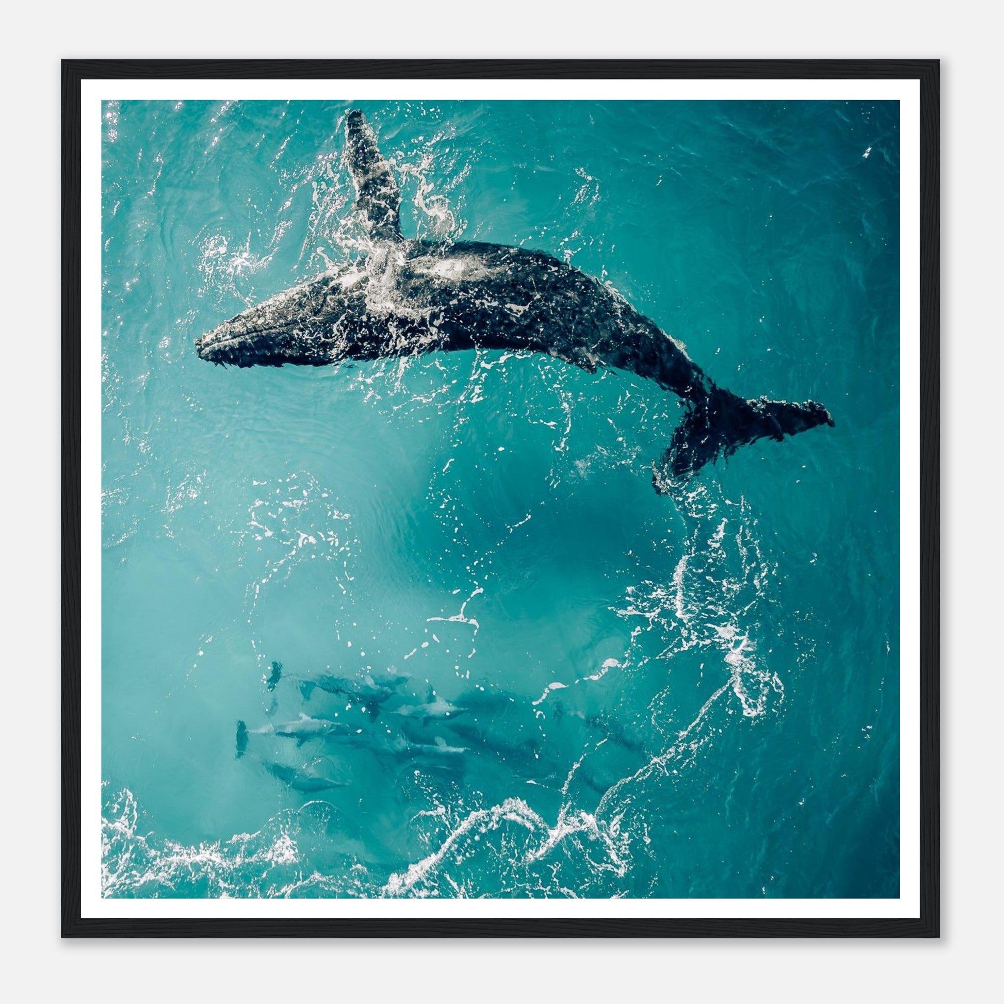 338300ff-3e0b-4b3b-a9bc-3f569e1f472f