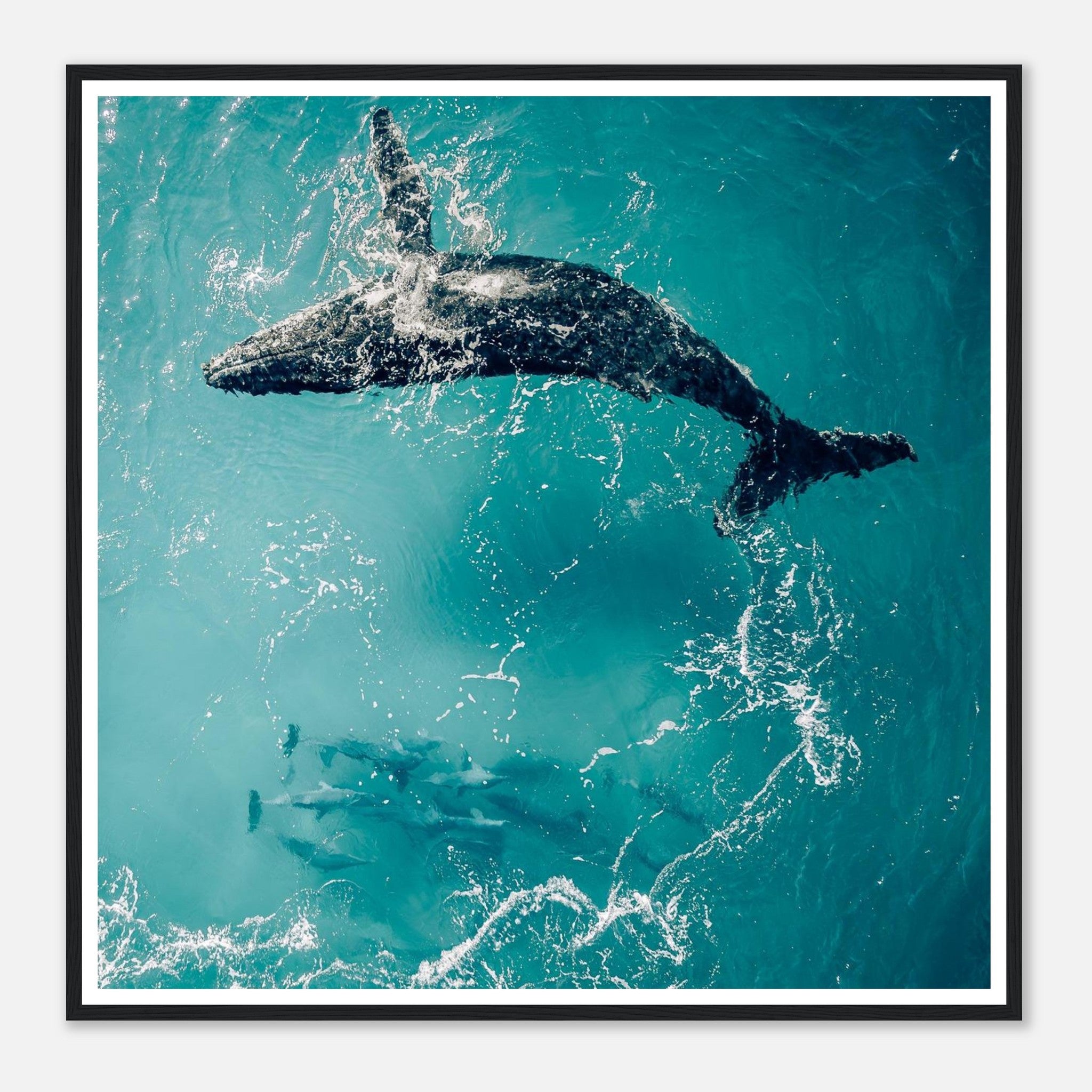 38fdef67-0b64-4c2d-90b9-40aa06f1ebc1