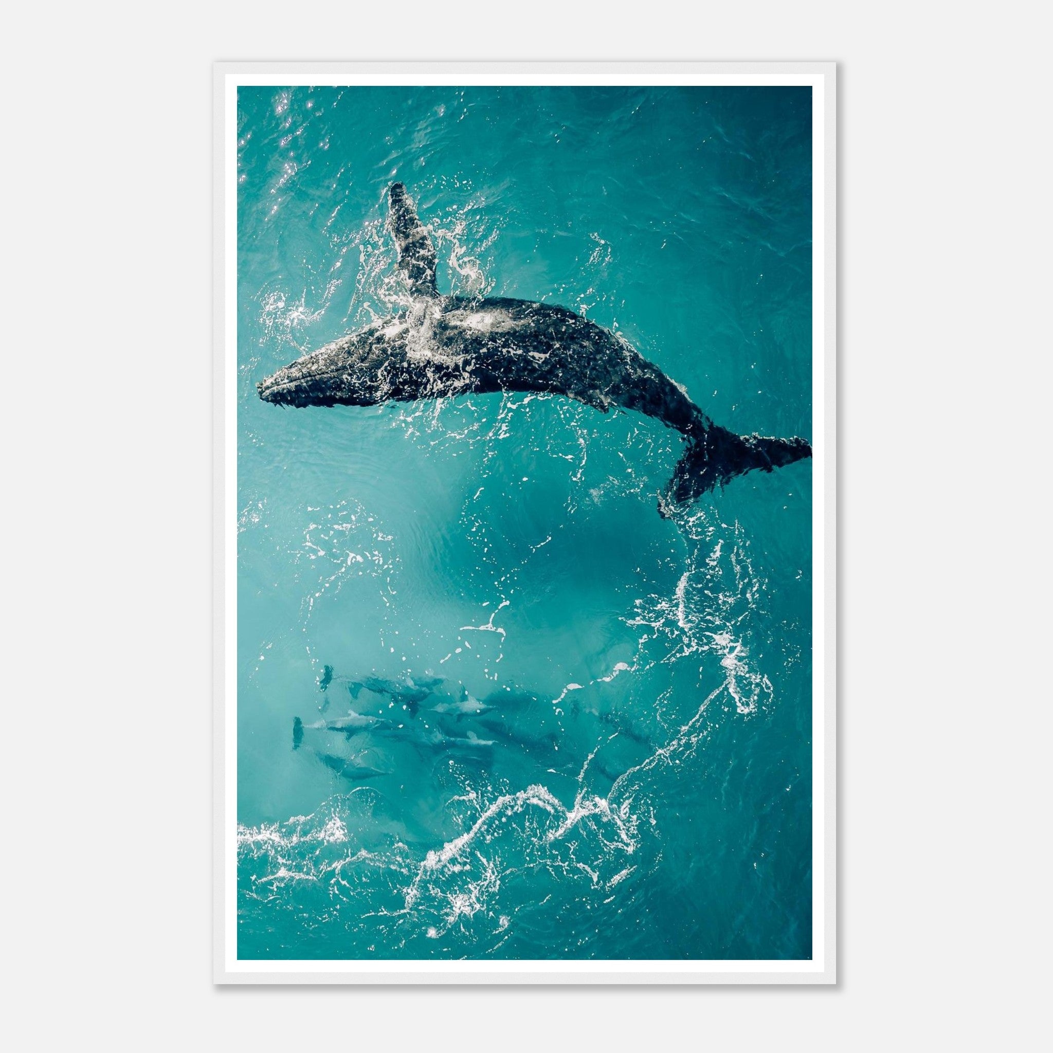 3f517604-025d-40ab-9ab1-450ab59b2f1a