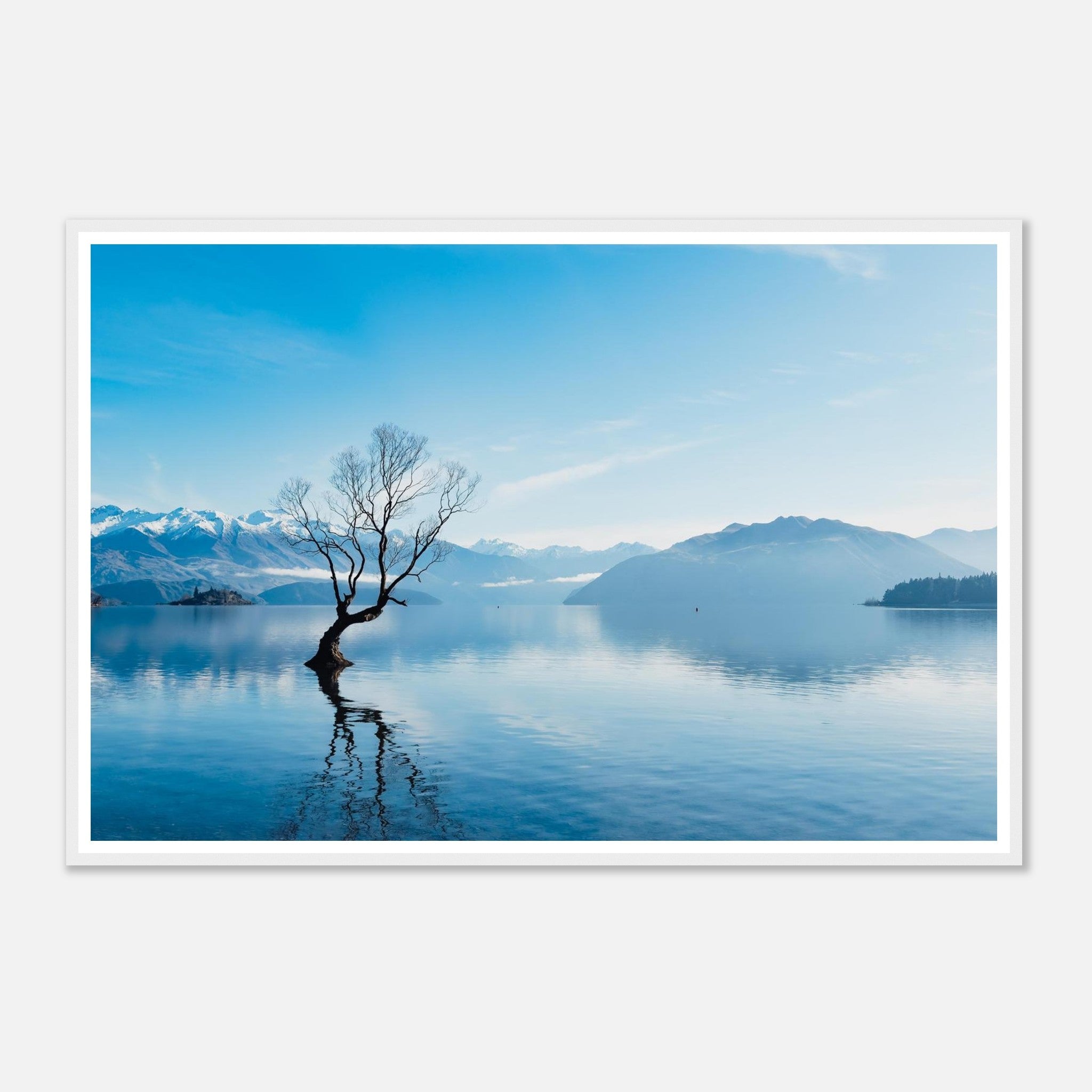 40c059c4-8b82-43df-86f1-6d13809ef2cd