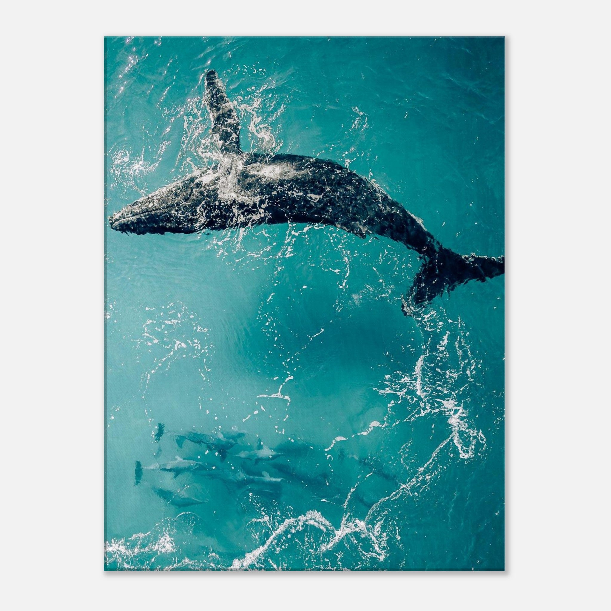 40d7ae05-1ab5-4860-80dd-5dfdcbc6d9cc