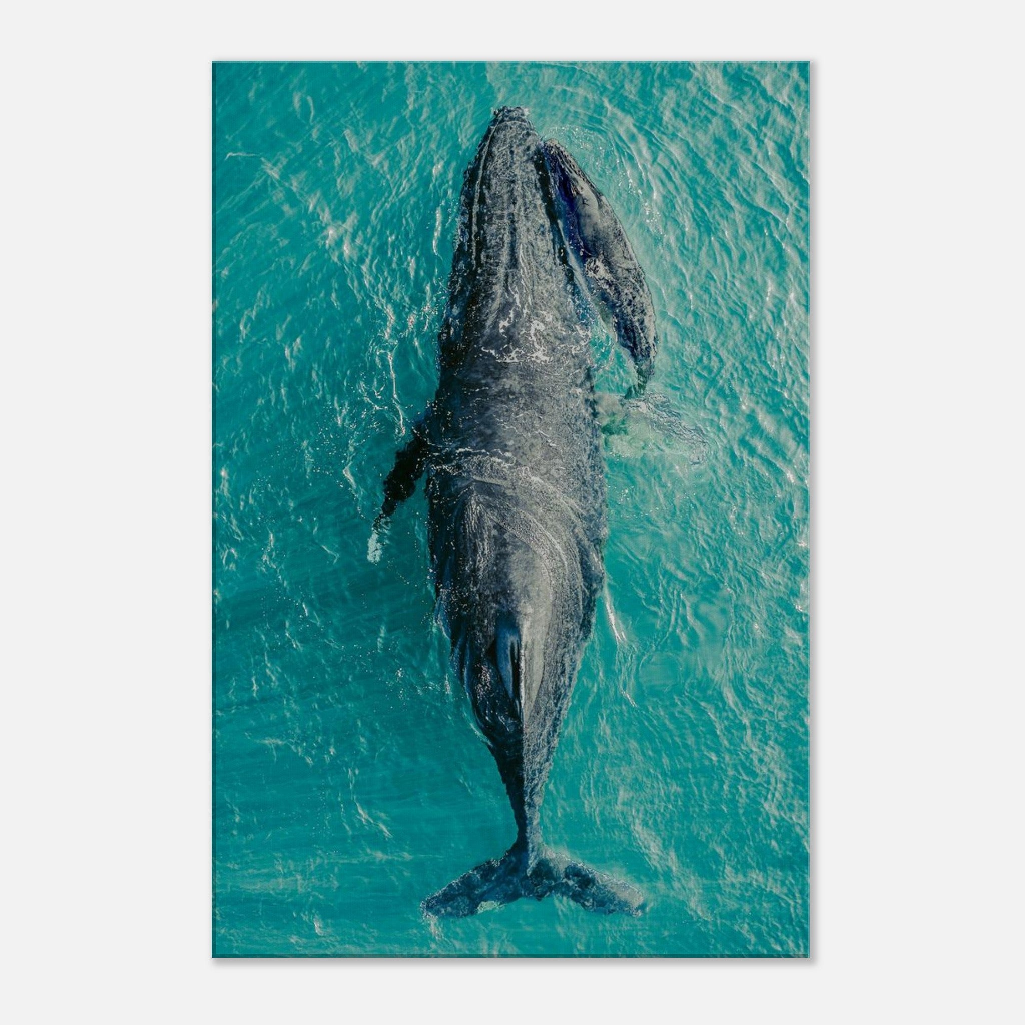 4435787c-f4c2-405d-a089-9bdc47a0cb5a