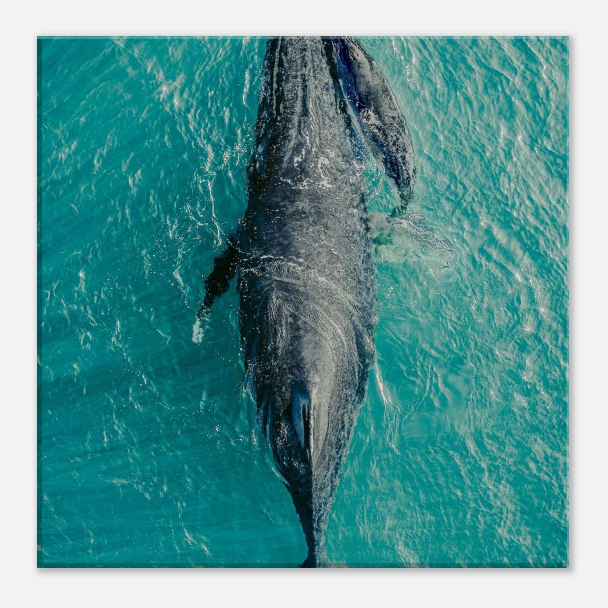 469af15d-935e-4394-a4f5-891947a425a5