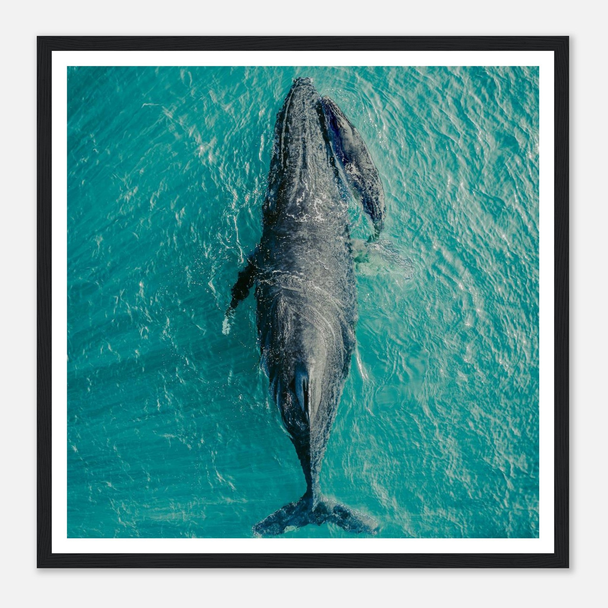 4a2baf96-6ecb-453c-97b3-e9c368e2a4f5