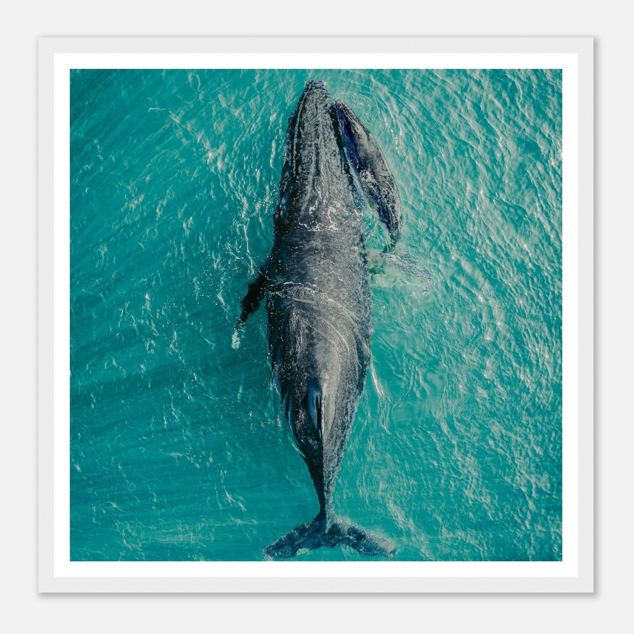 4b30ab0e-7e98-4f60-b9a6-36677ba81916