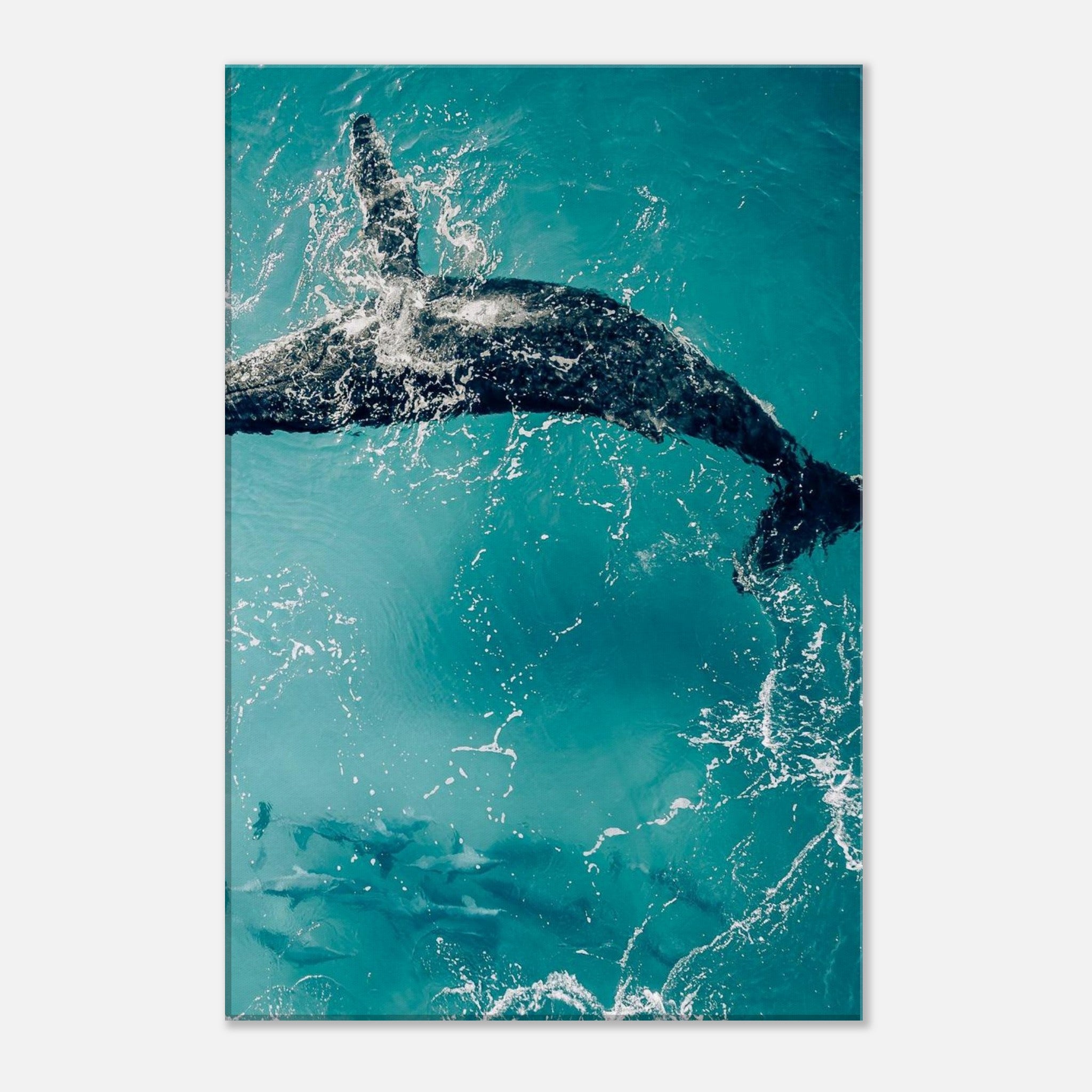 4e101151-a353-47dd-bcbd-7c981f0cfd08