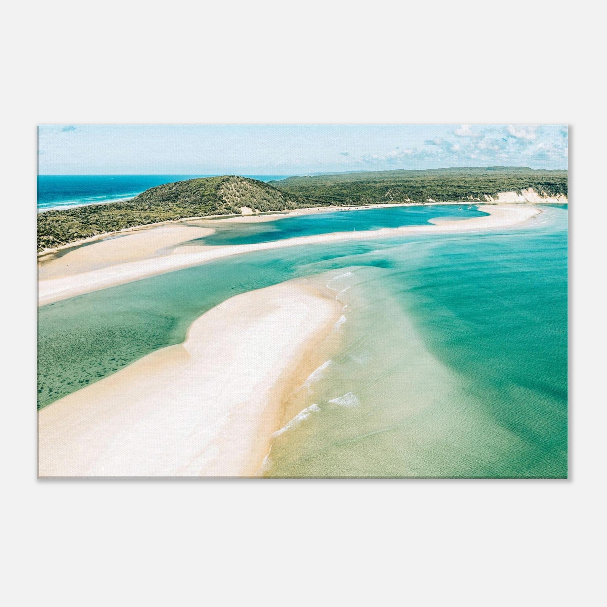 4e551e02-f864-419f-aecd-64039364b7b7