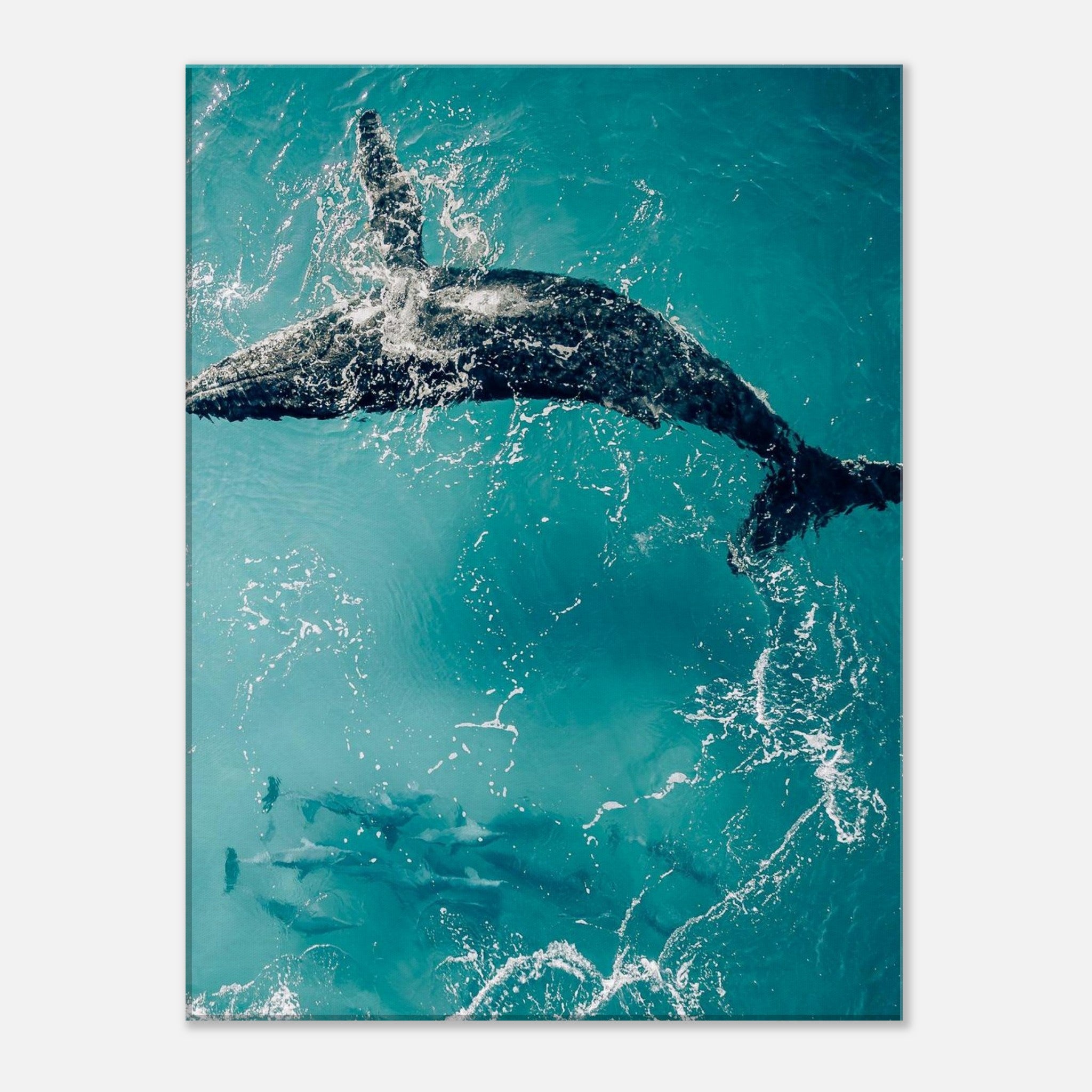 529c4333-7006-4fbb-9f76-e9ce04de312a