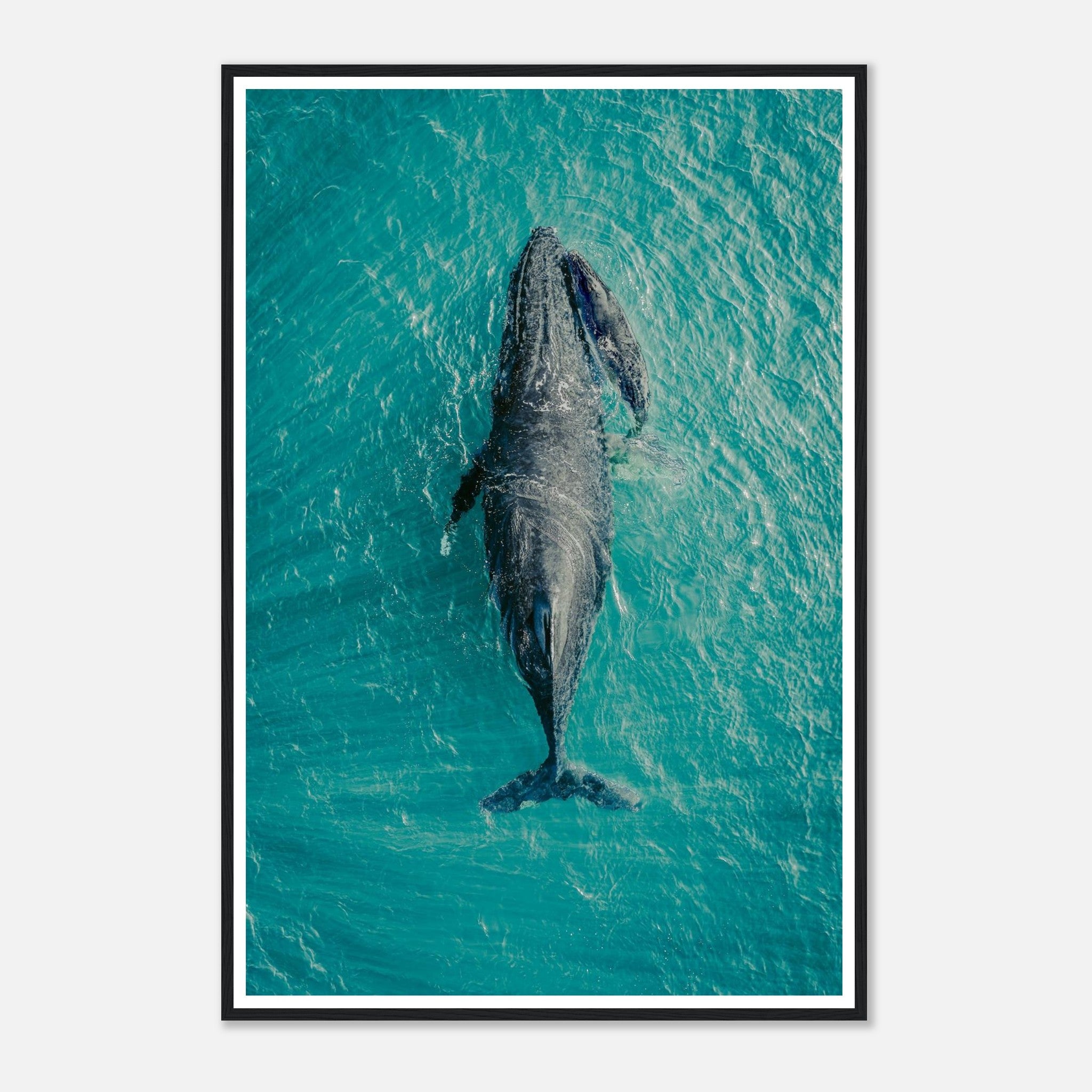 57ebe3c1-ded8-45a5-bc40-f81fe1be9f81