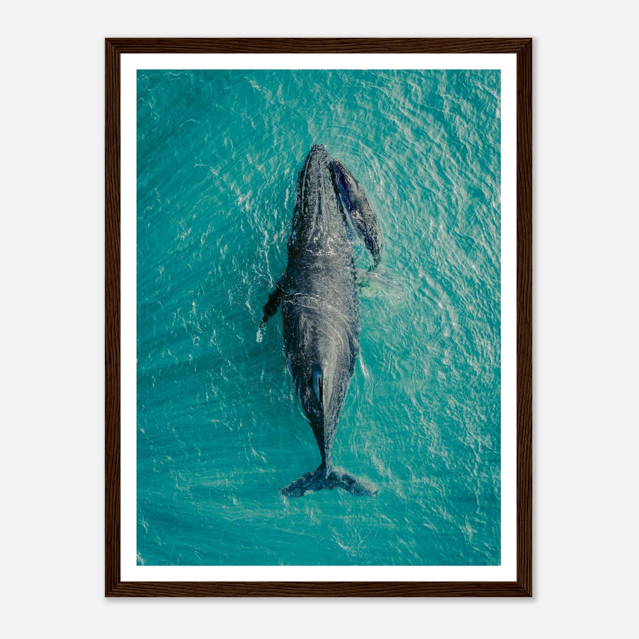 58c9d707-40e1-40da-9abf-037b707d6816