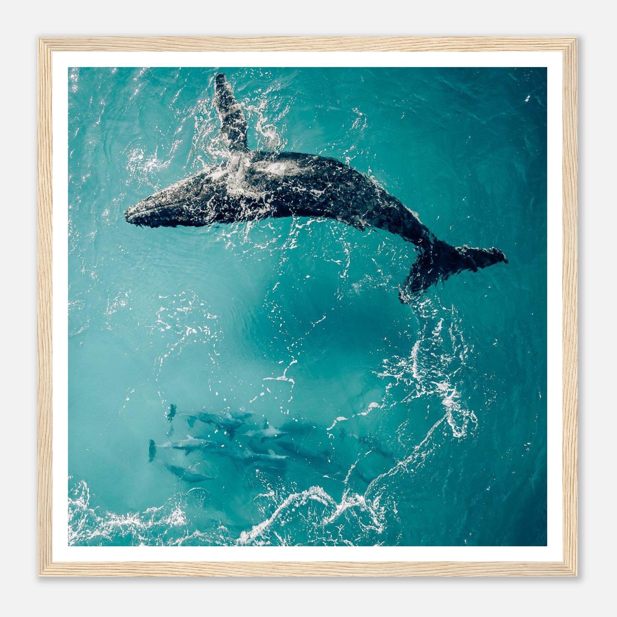 655fe462-9d54-432d-91fe-2a7c1c350308