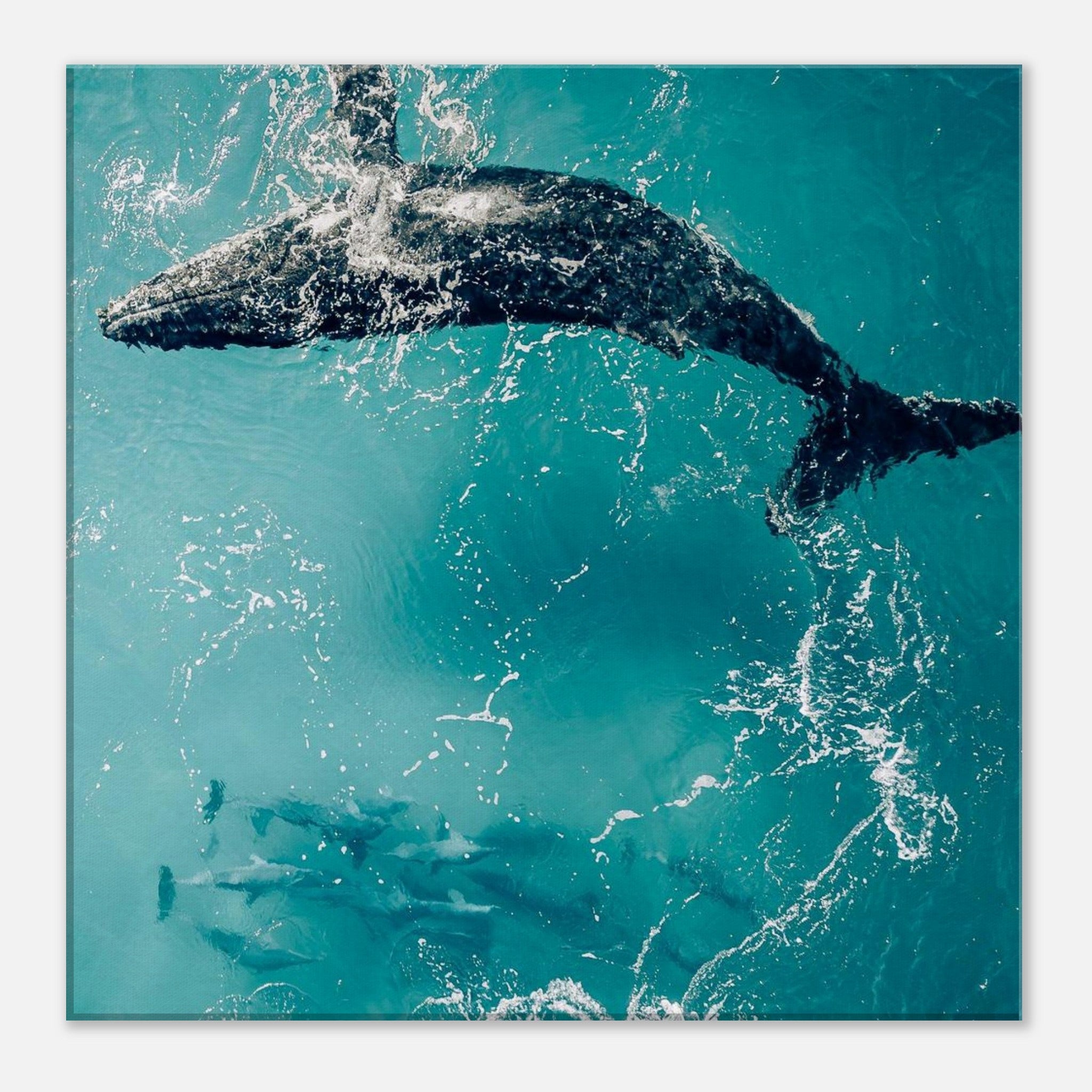 67e838b2-671b-4539-bfe2-92d07a3728d4