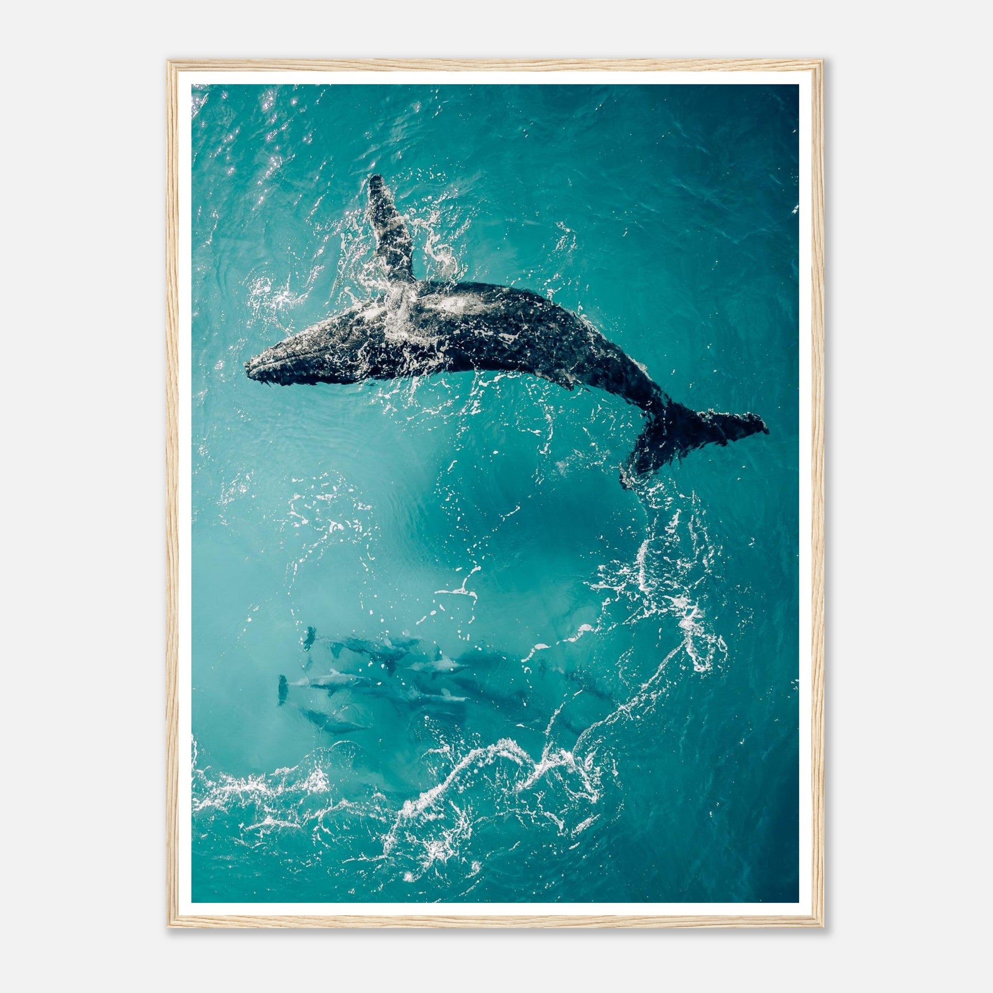 697691df-f492-429a-9e95-61f875cb916a