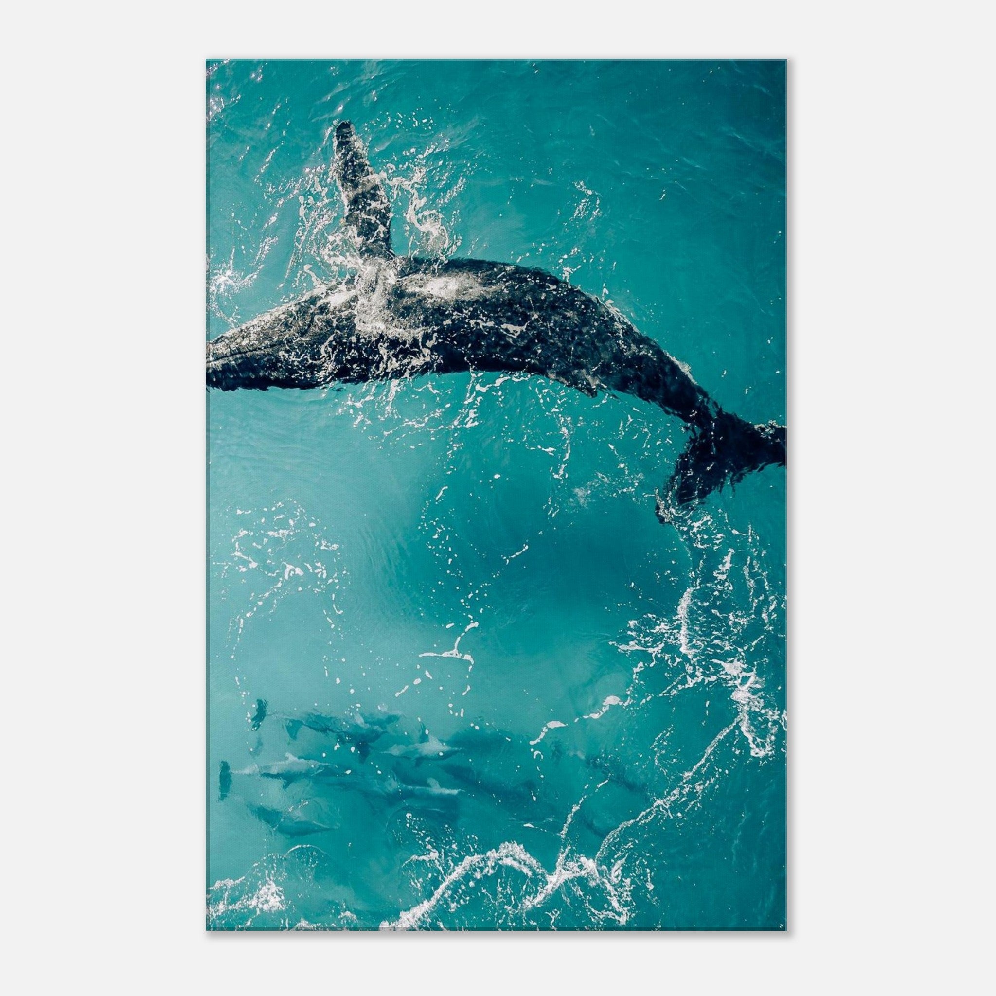 69c979ba-c755-436f-8c47-0dc07746c2b2